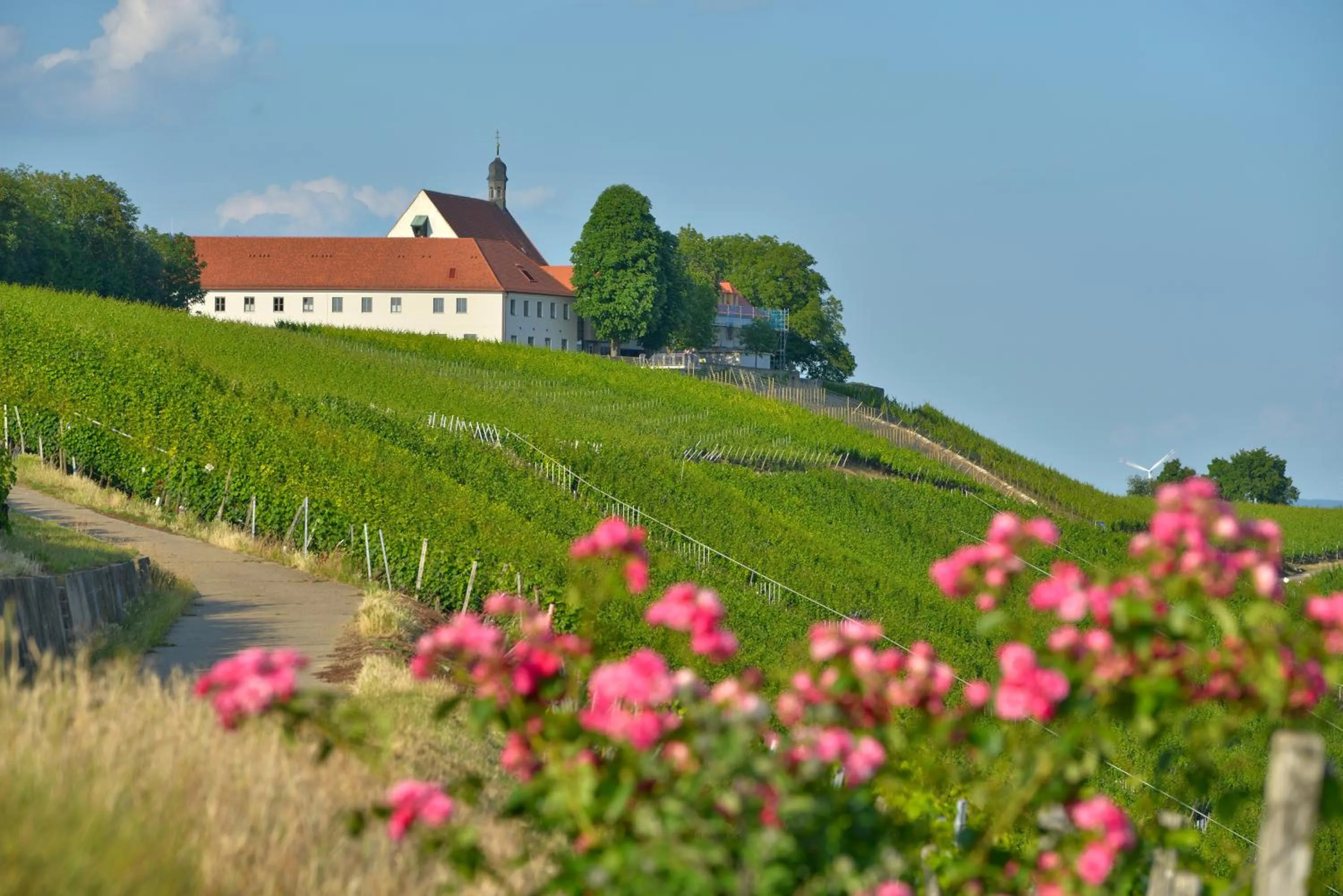 Facade/entrance in Vogelsburg