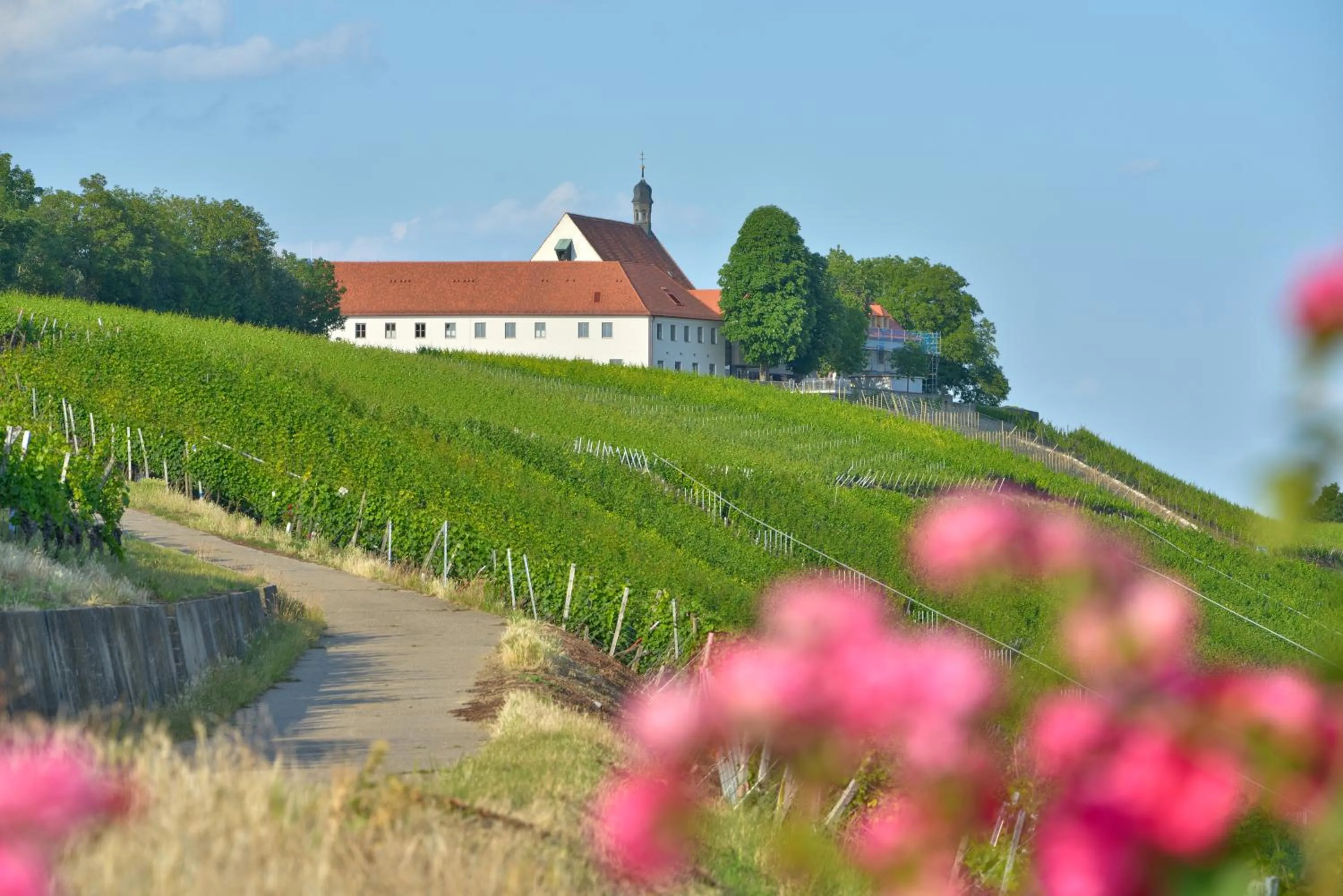 Facade/entrance in Vogelsburg
