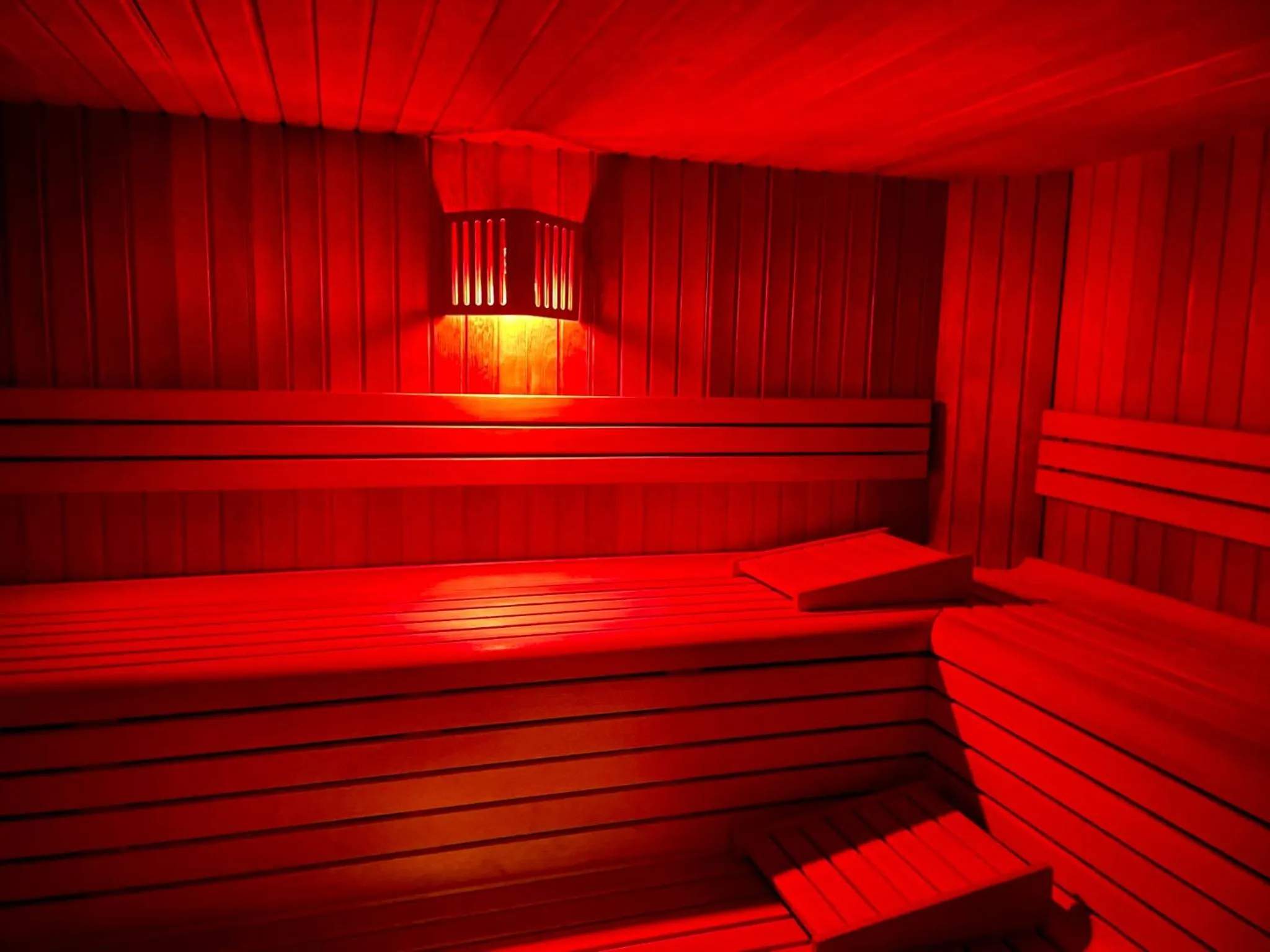 Sauna in G. Hotel Des Alpes (Classic since 1912)