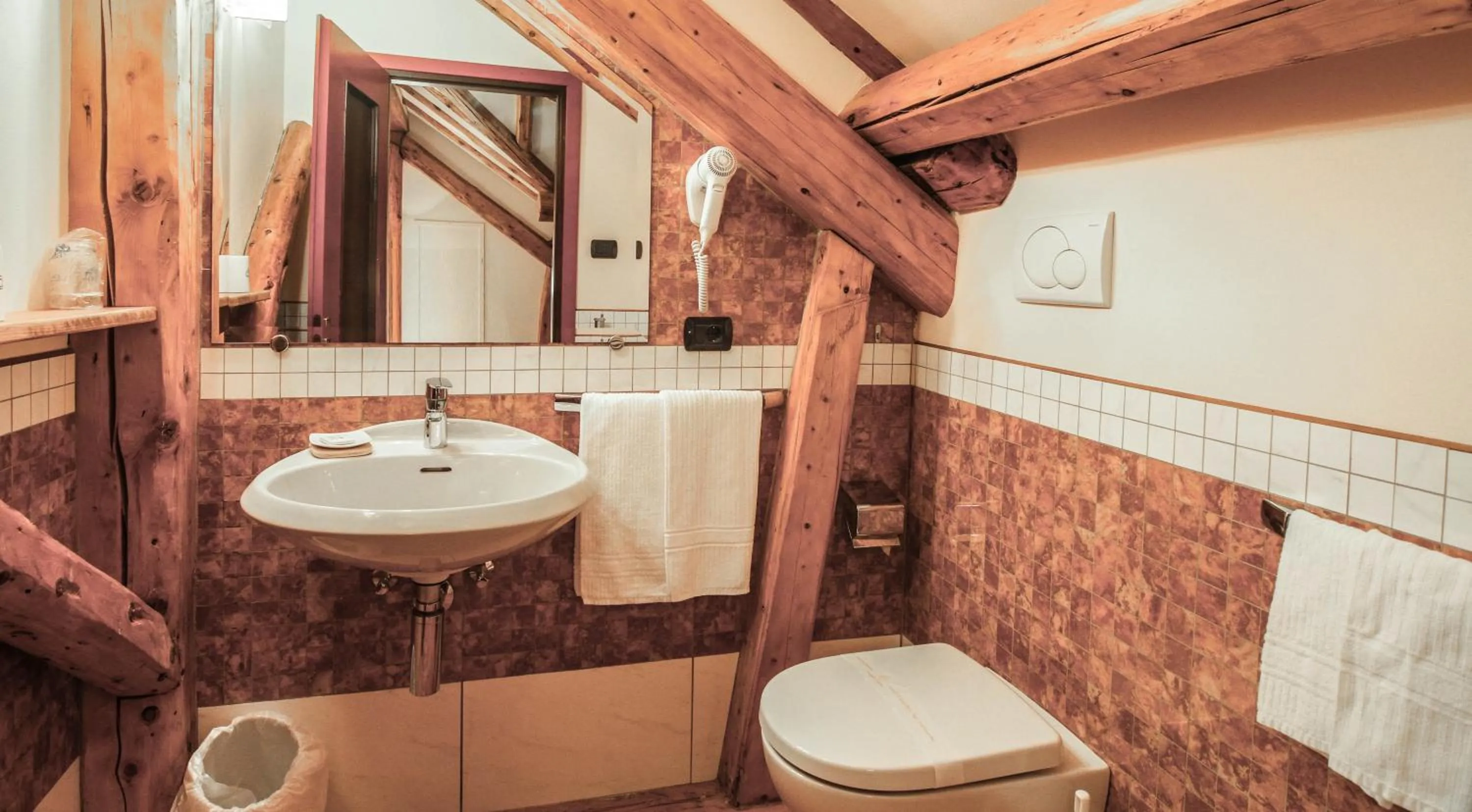 Bathroom in G. Hotel Des Alpes (Classic since 1912)