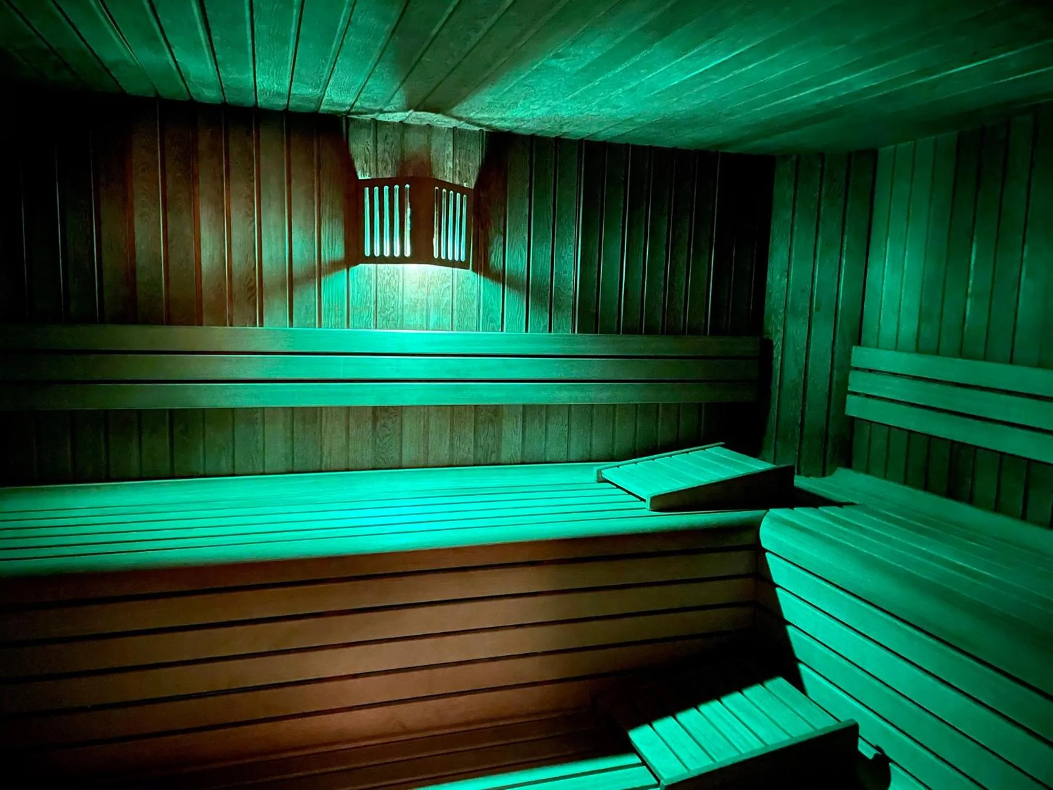 Sauna in G. Hotel Des Alpes (Classic since 1912)