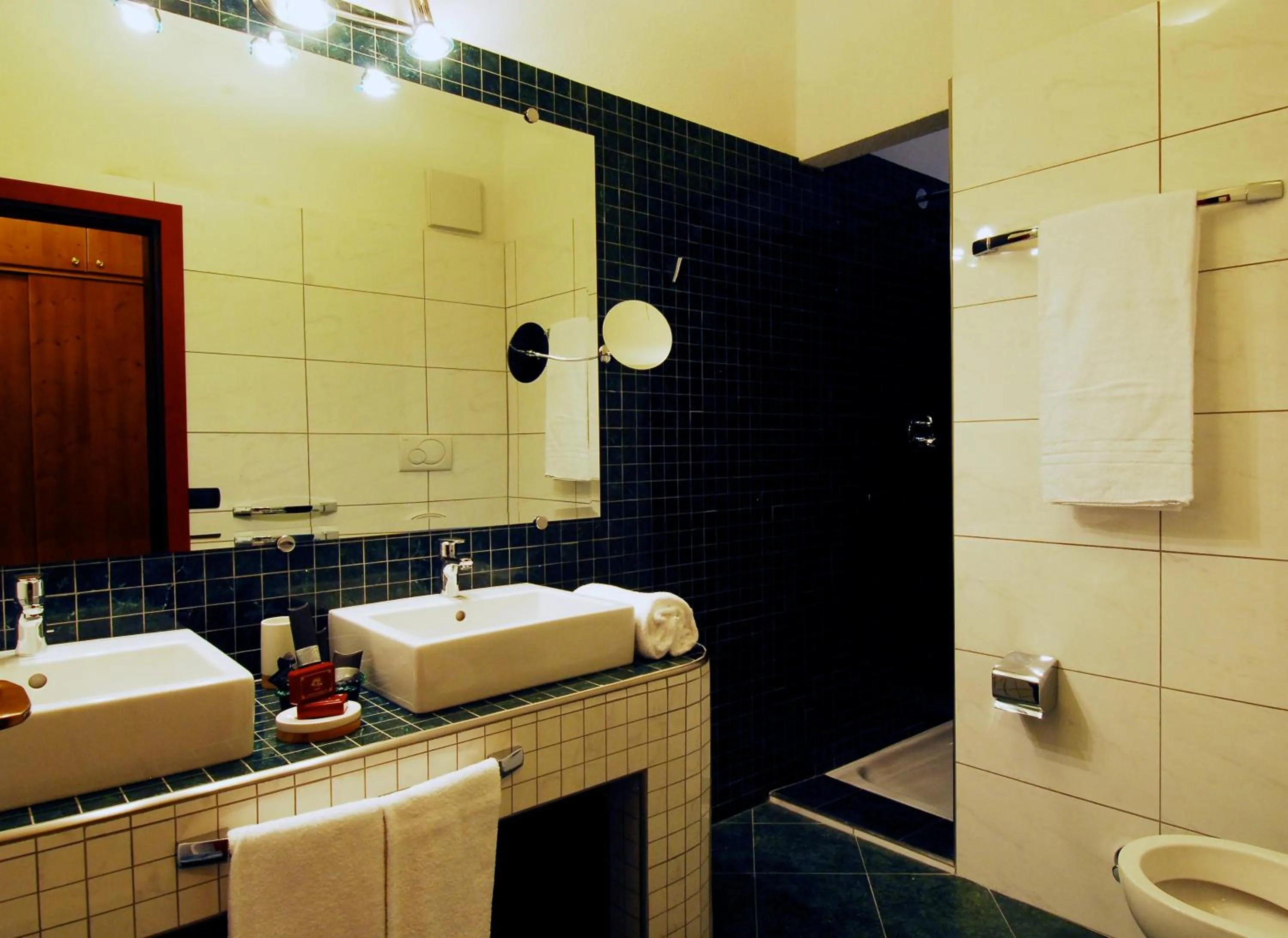 Bathroom in G. Hotel Des Alpes (Classic since 1912)