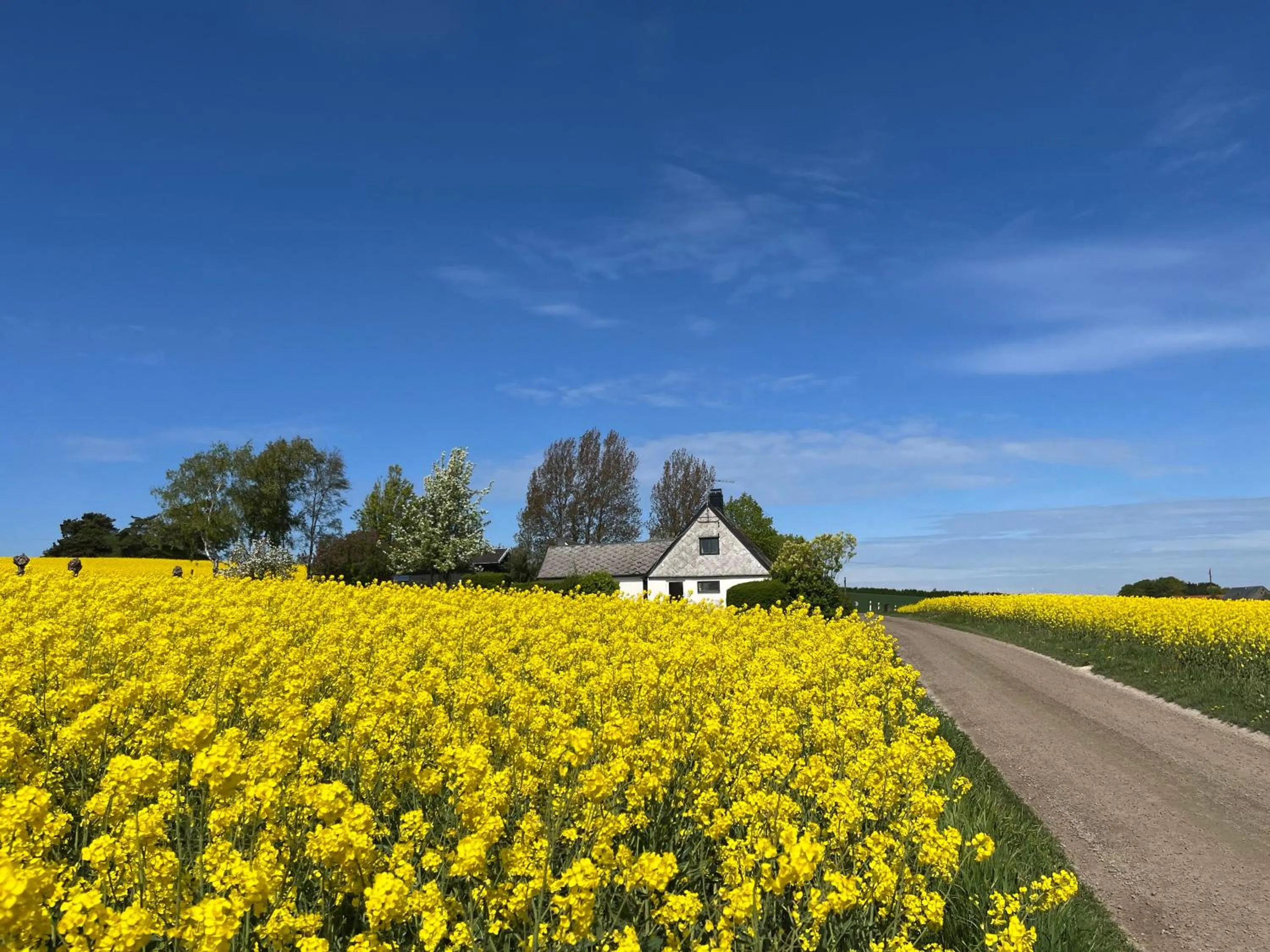 Sydkustens at Pillehill