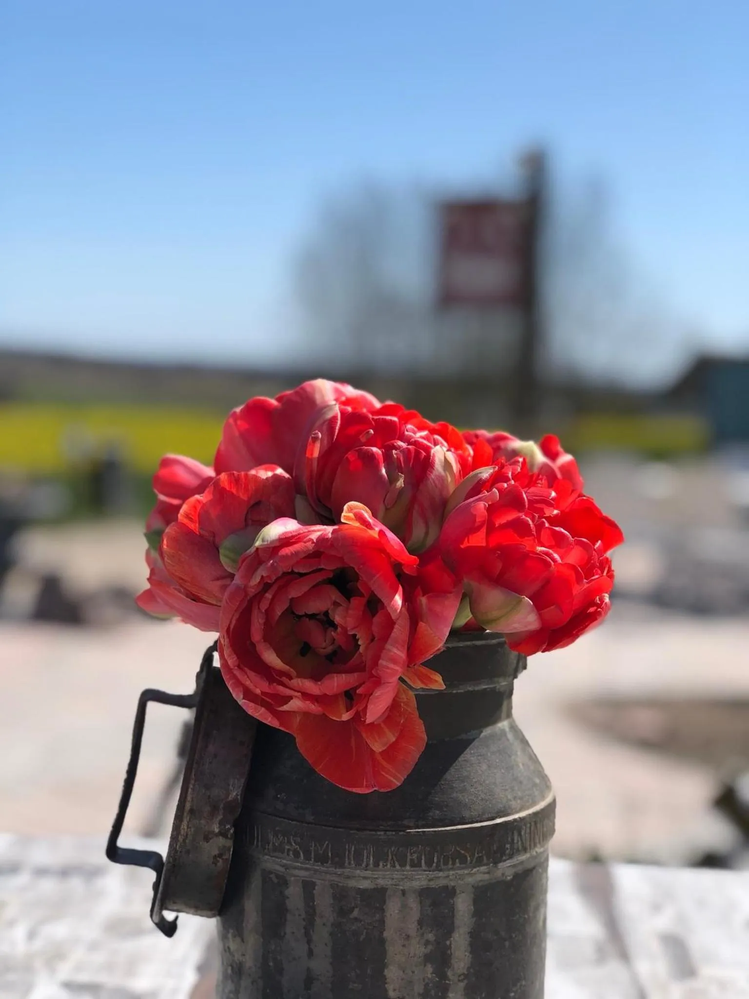 Facade/entrance in Sydkustens at Pillehill