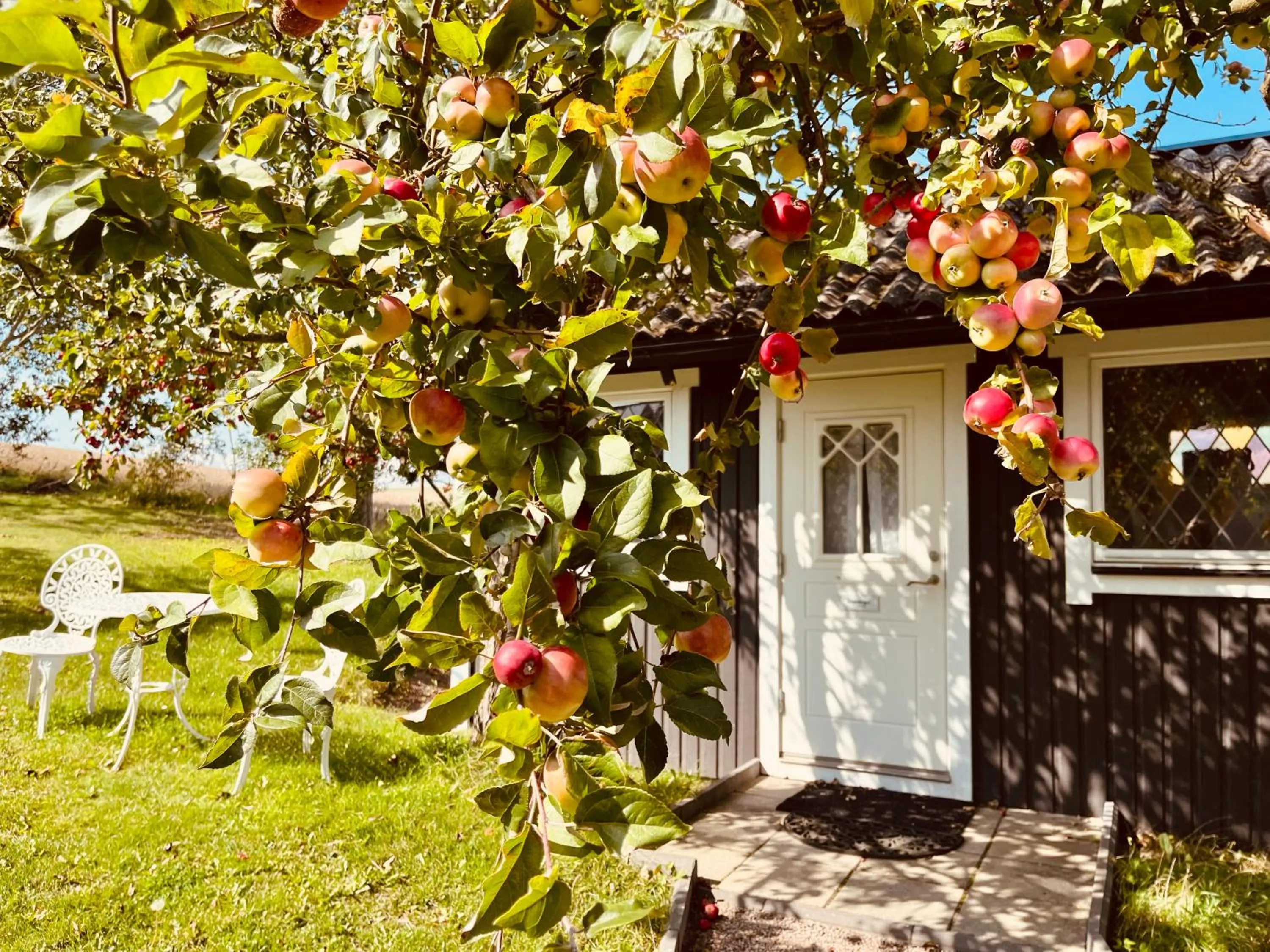Property building in Sydkustens at Pillehill