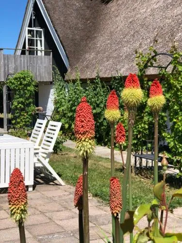 Balcony/Terrace in Sydkustens at Pillehill