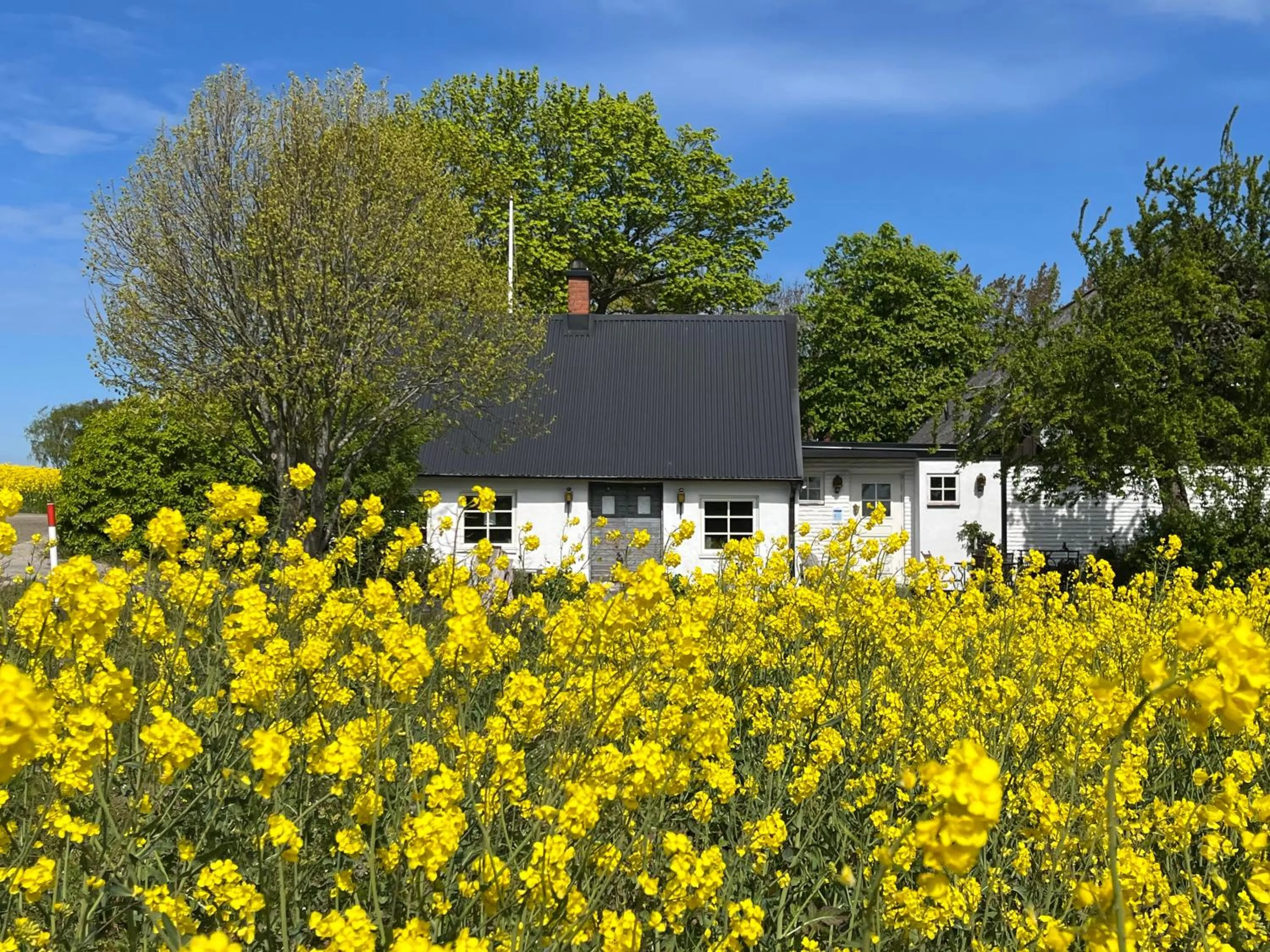 Sydkustens at Pillehill