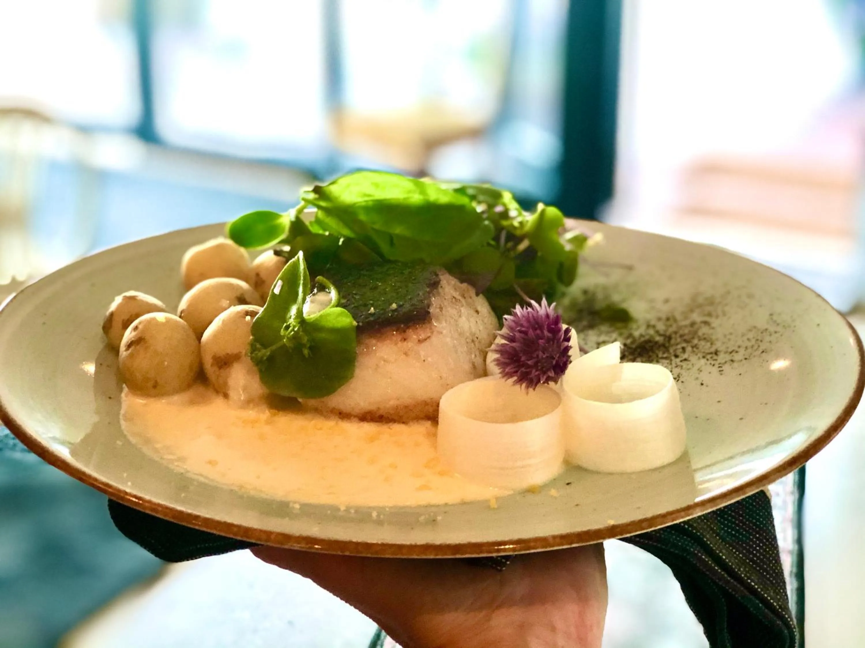 Restaurant/places to eat in Sydkustens at Pillehill