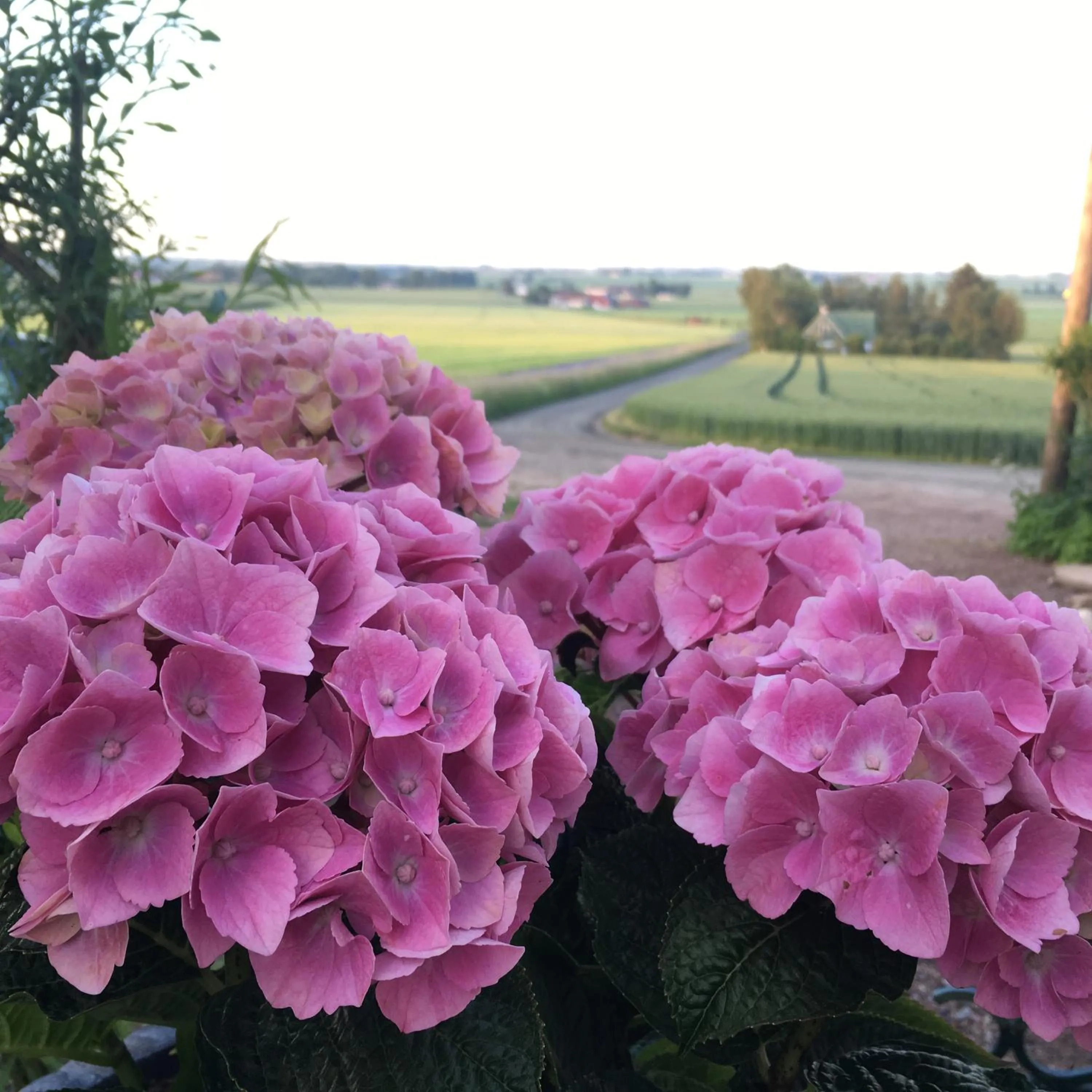 Neighbourhood in Sydkustens at Pillehill