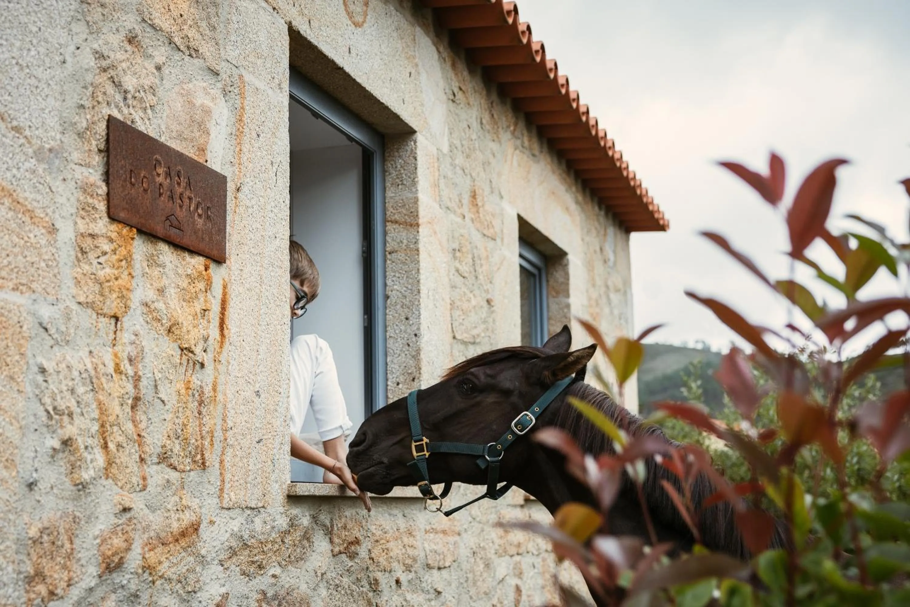 Facade/entrance in Cerquido by NHôme