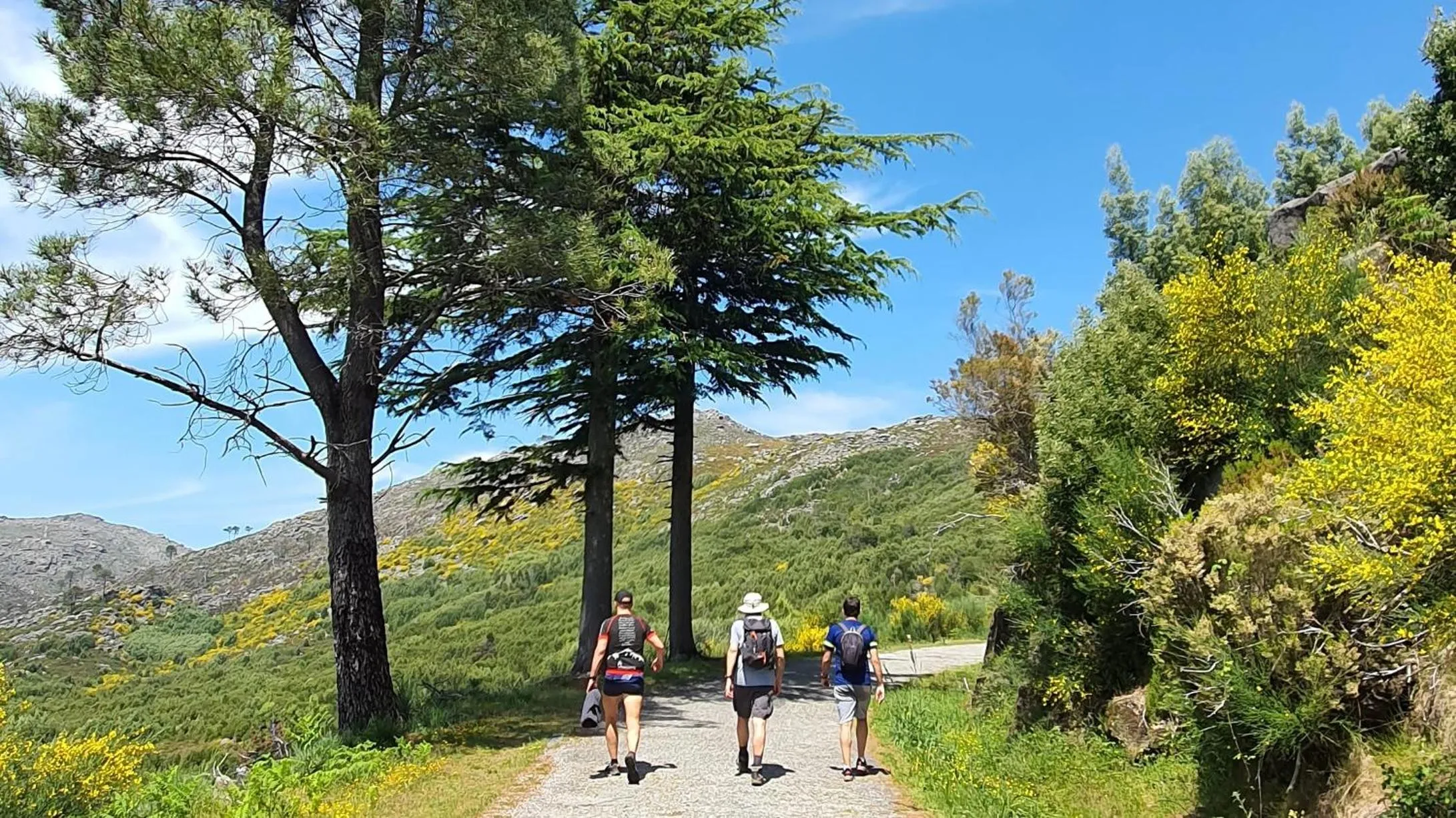 Natural landscape in Cerquido by NHôme