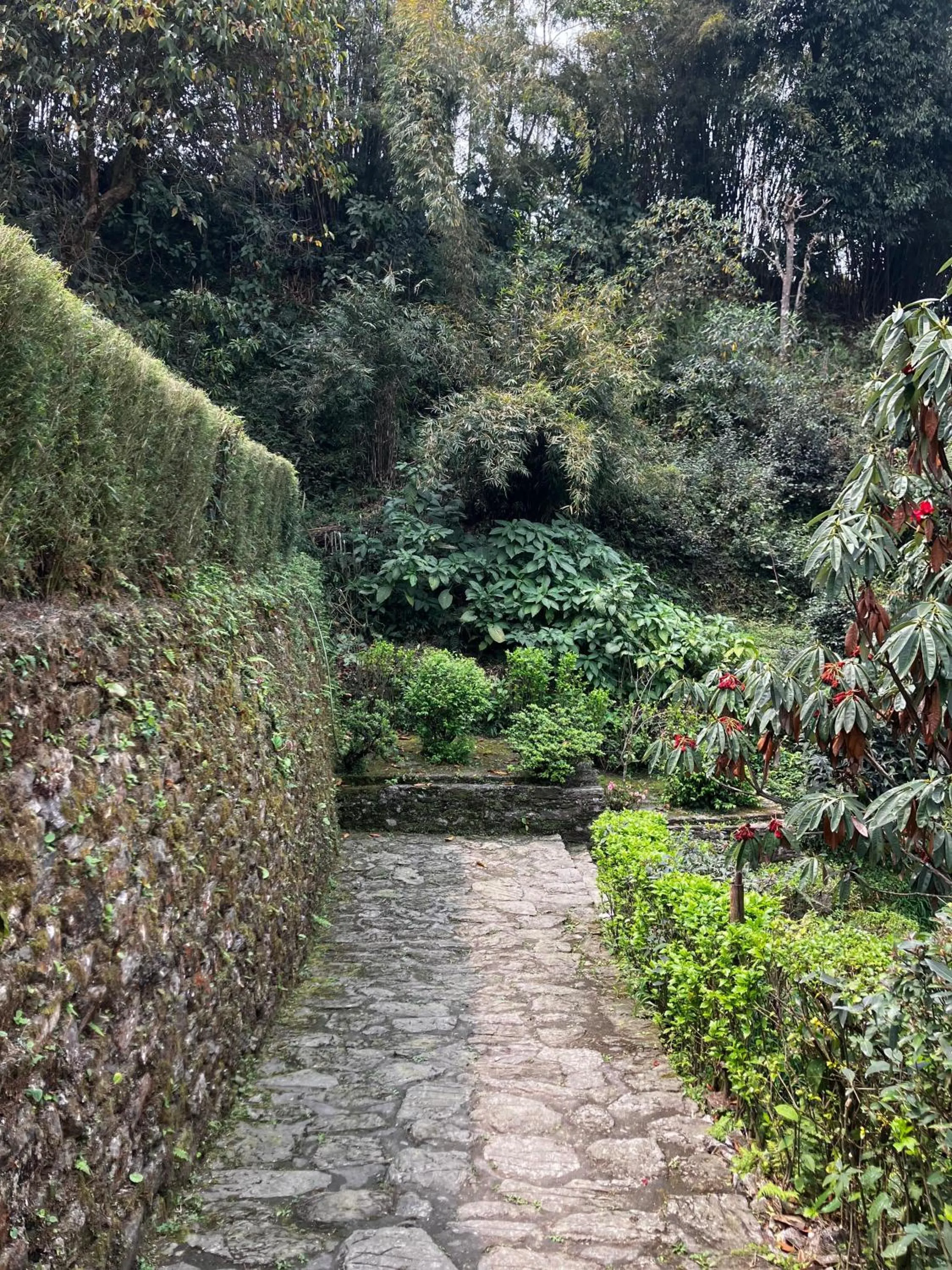 MayaTels - Maya Eco Huts, Pelling