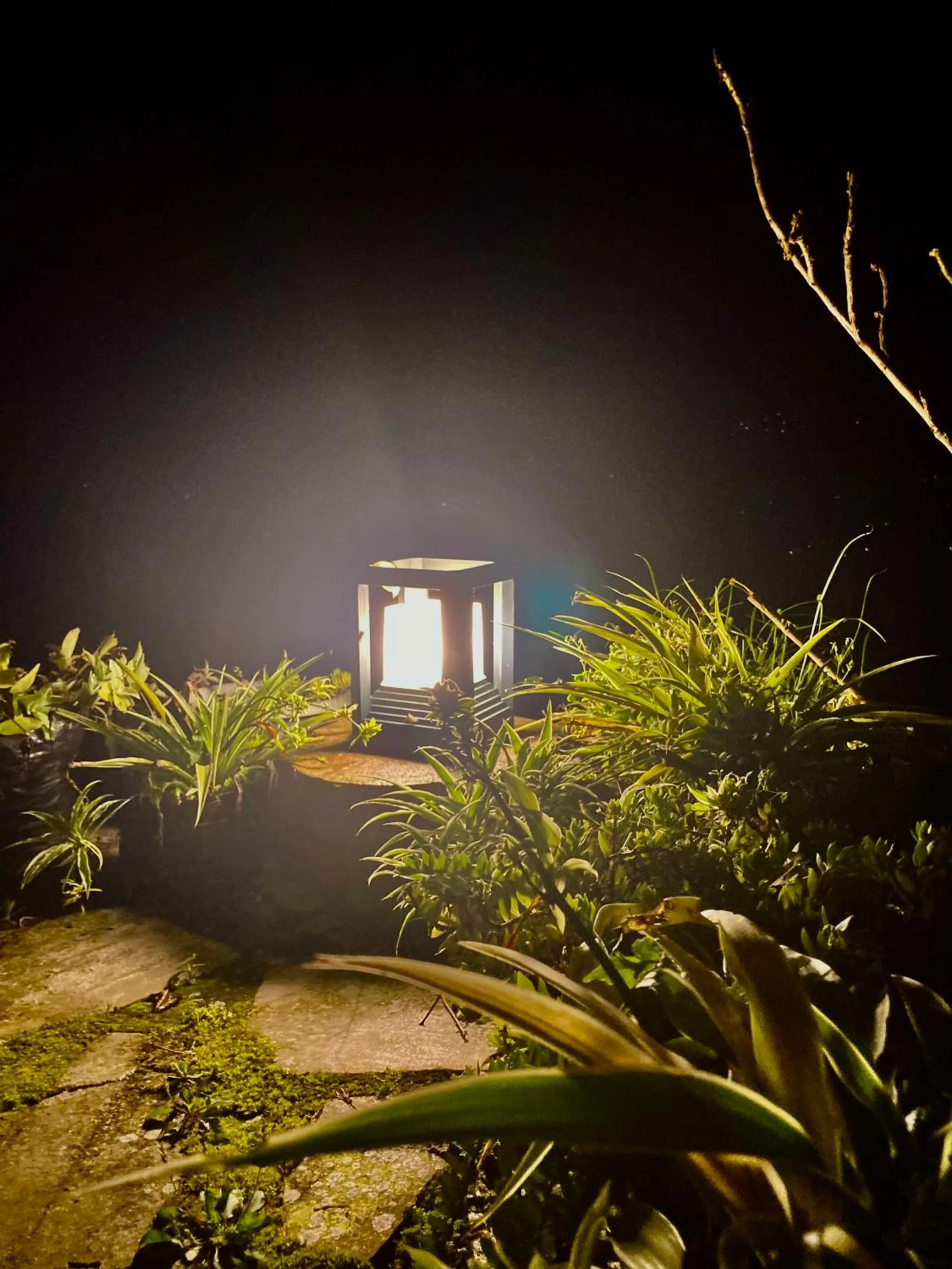 MayaTels - Maya Eco Huts, Pelling