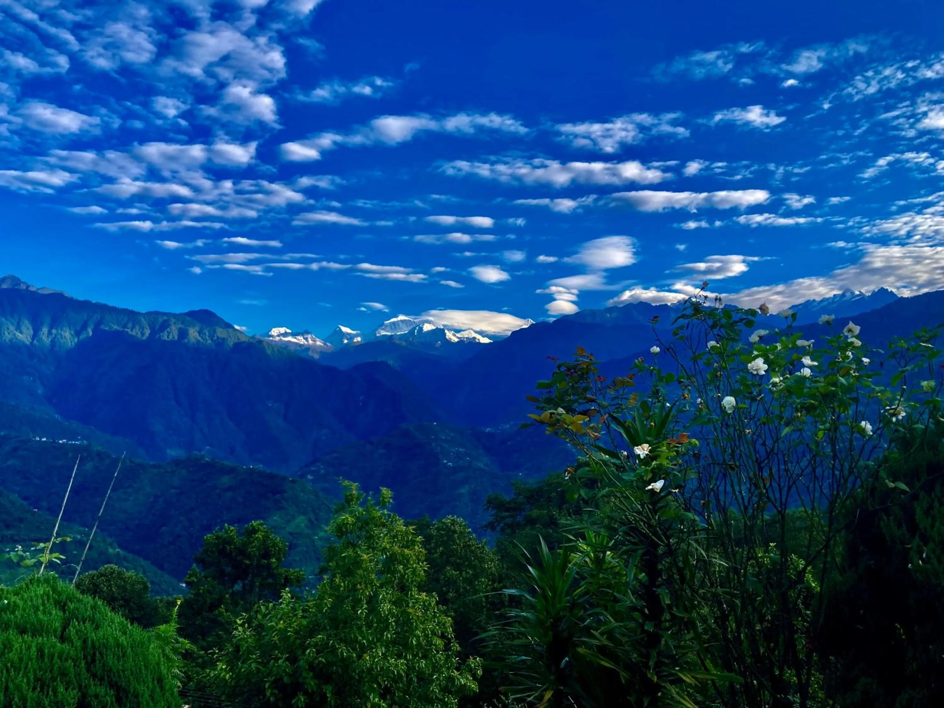 MayaTels - Maya Eco Huts, Pelling