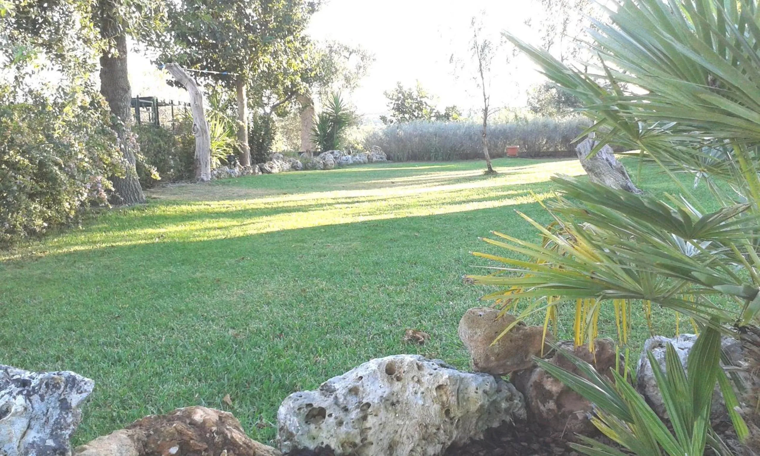 Garden view in Villa Giulia B&B