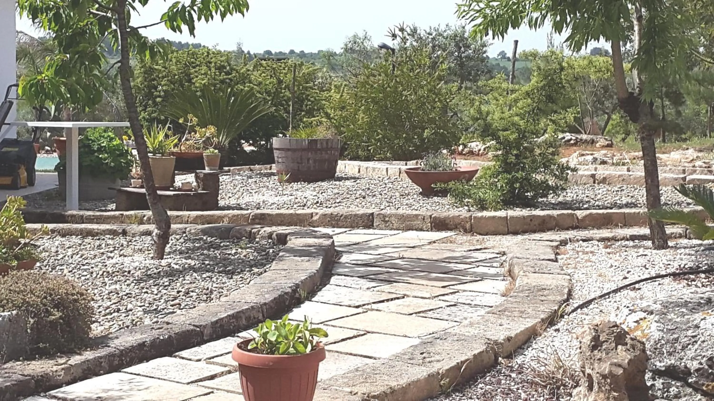 Garden view in Villa Giulia B&B