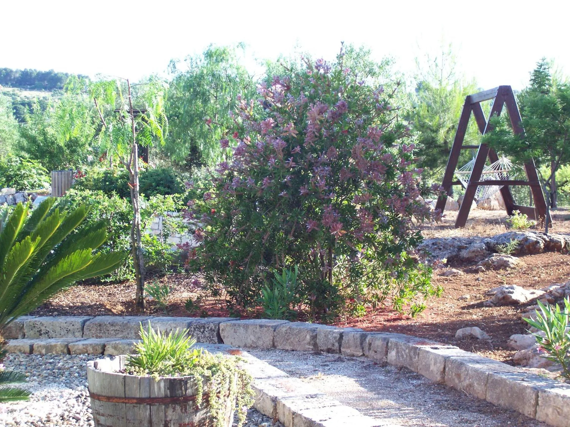 Garden in Villa Giulia B&B