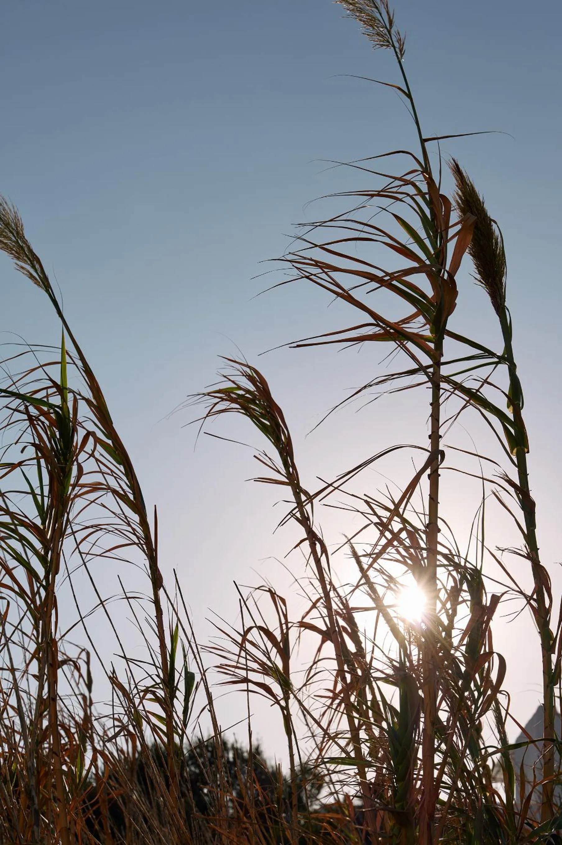 Decorative detail in Kalea Mykonos