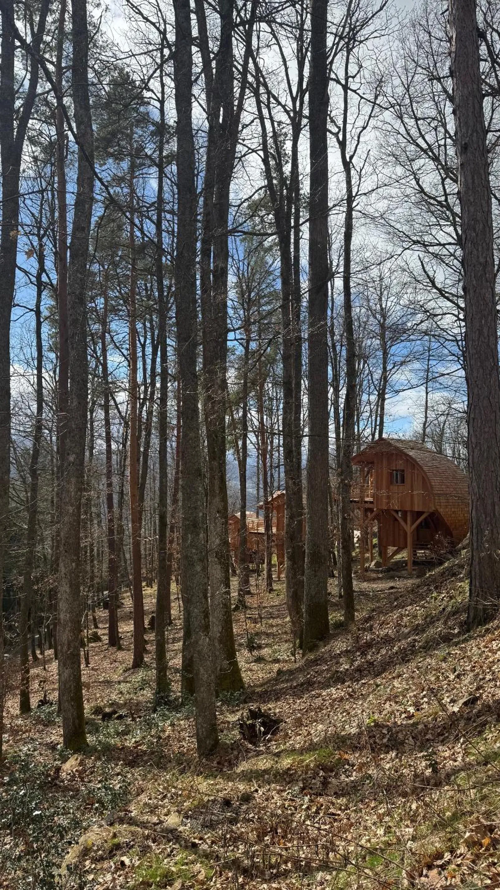 Natural landscape in Domaine de Haslach, The Originals Collection, Résidence de Tourisme