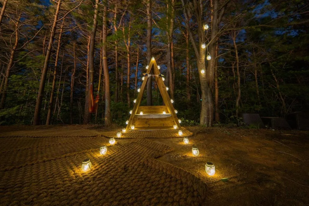 Natural landscape in Zio Pinetree