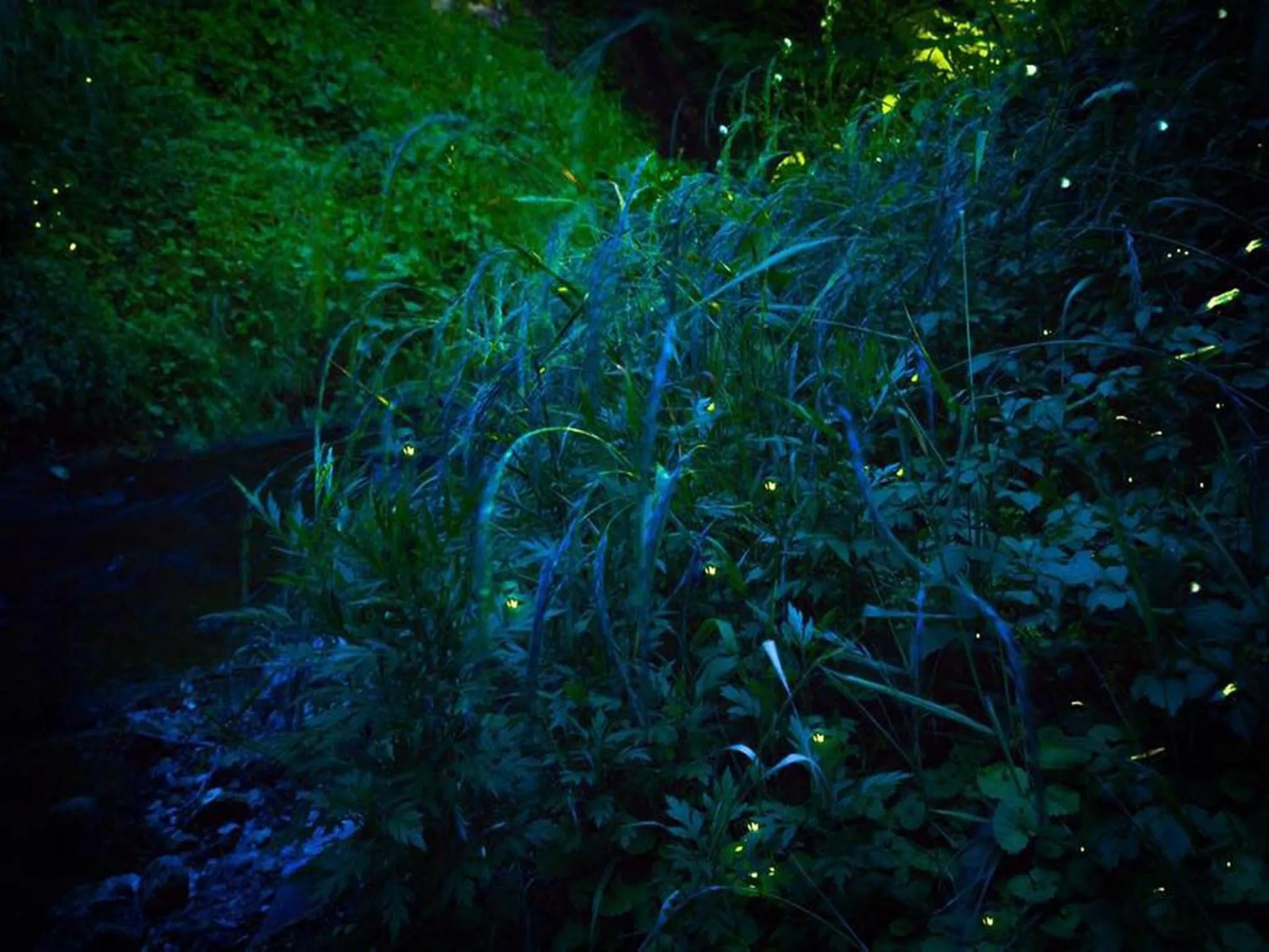 Property building in Yamayuri no Yado