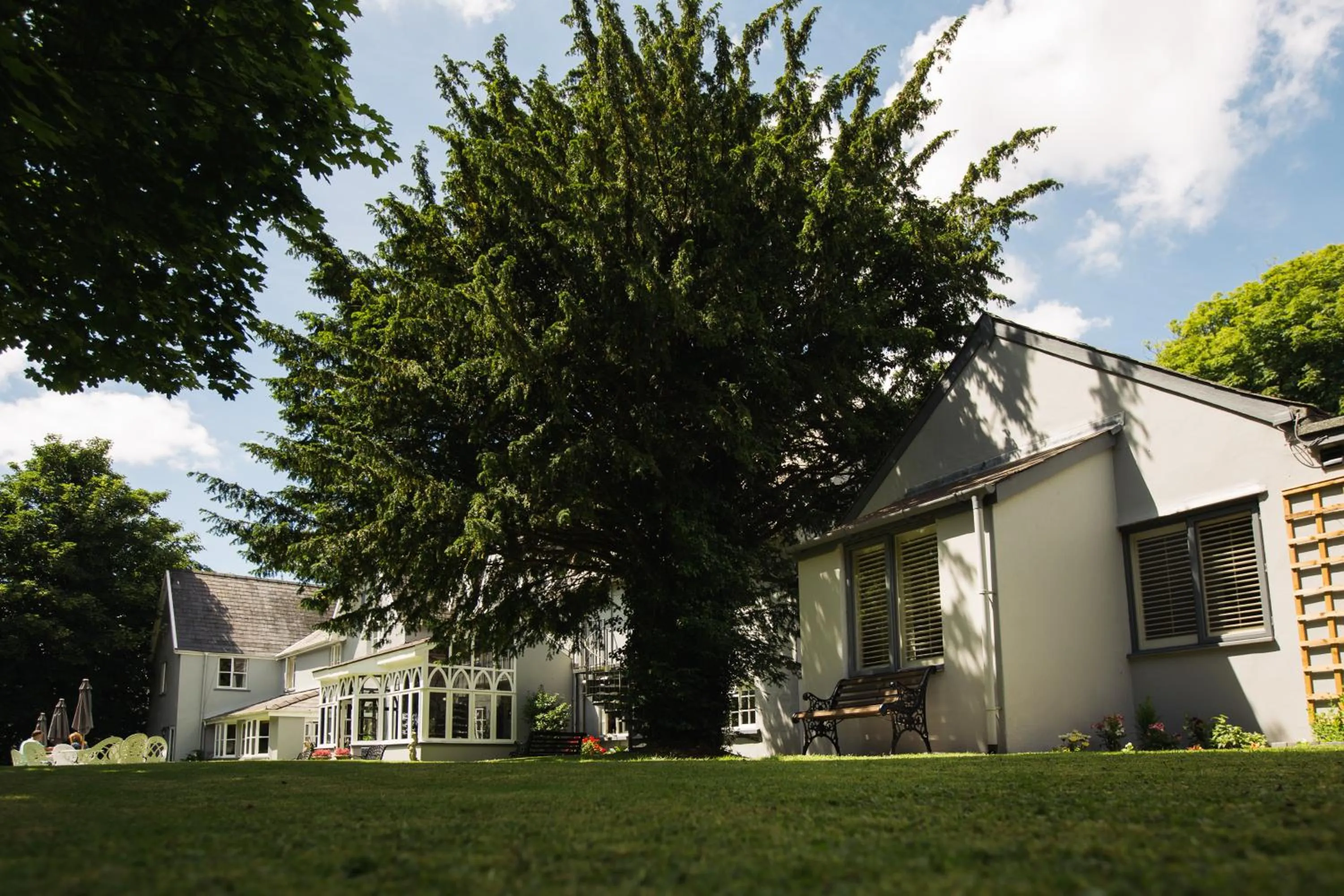 Garden in The Broadmead Boutique B&B