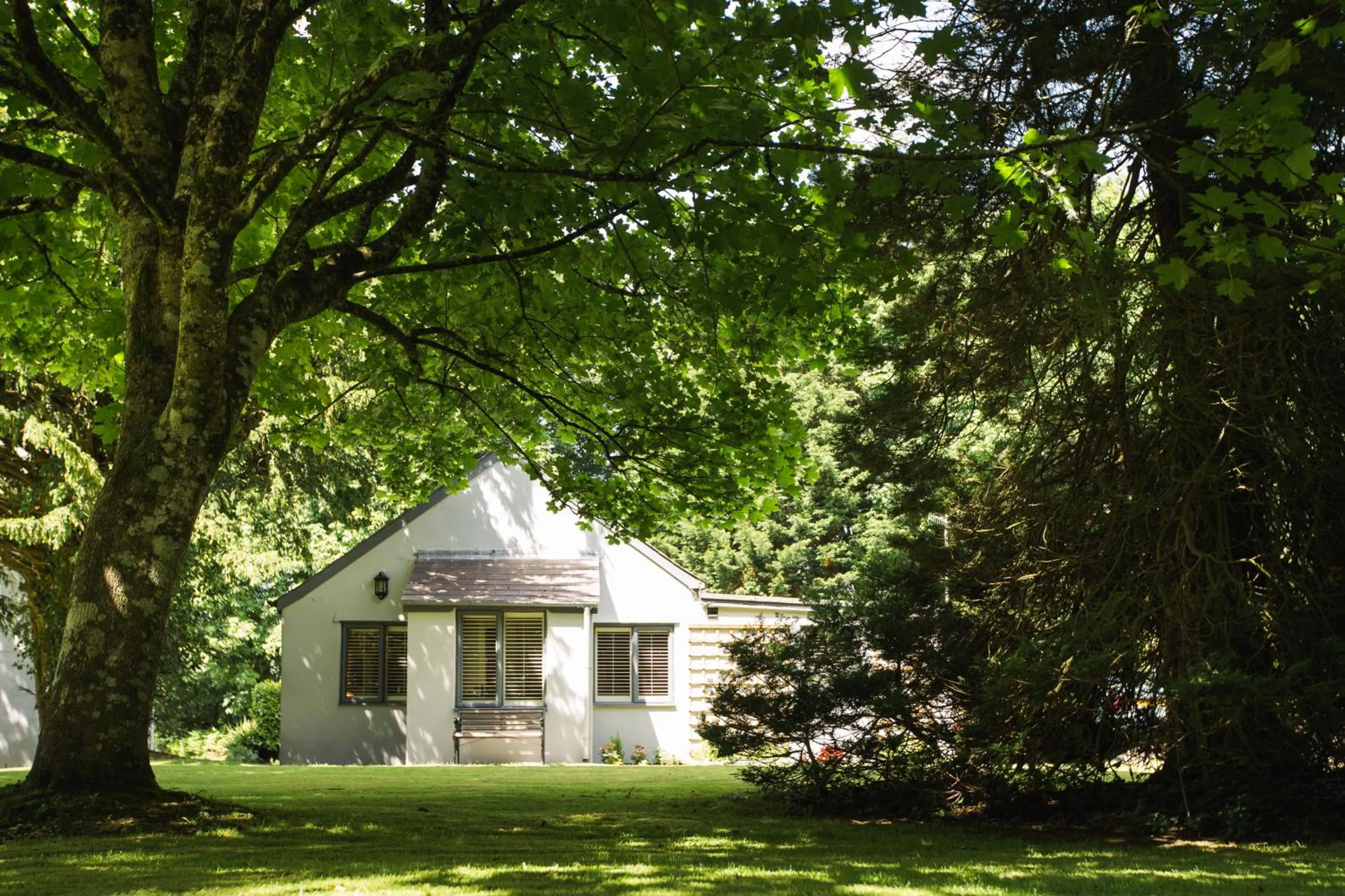 Garden in The Broadmead Boutique B&B