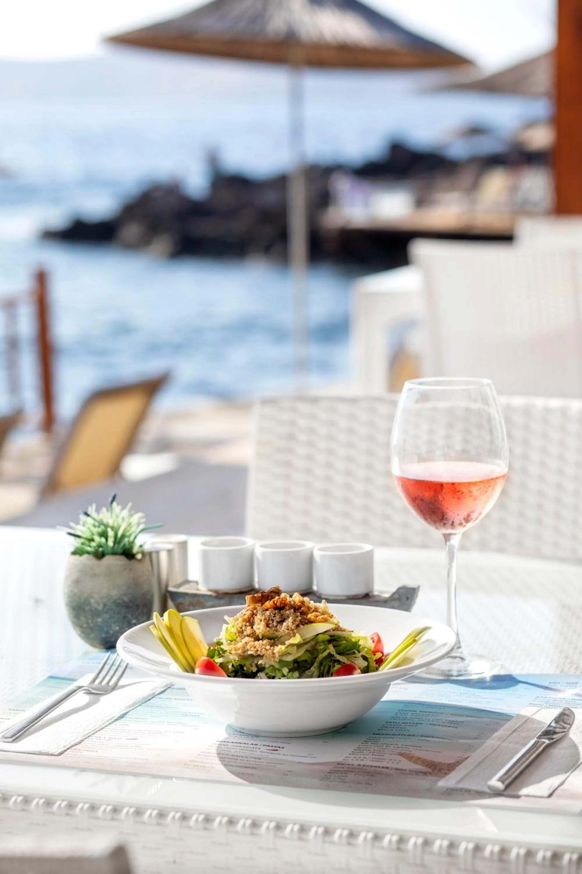 Food close-up in Vega Aparts