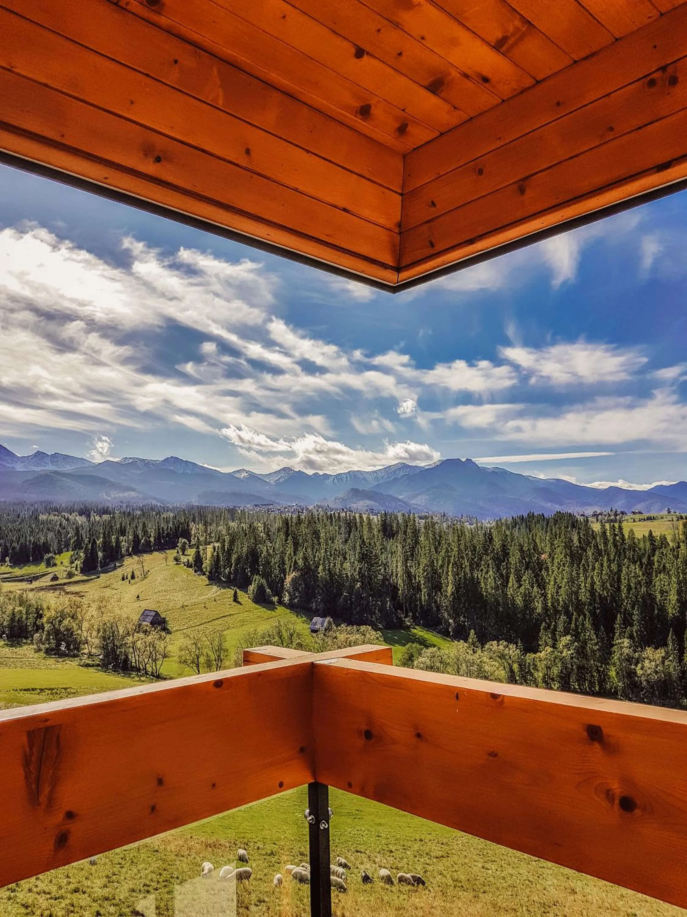 View (from property/room) in Hotel Kopieniec Fizjo- Med & SPA