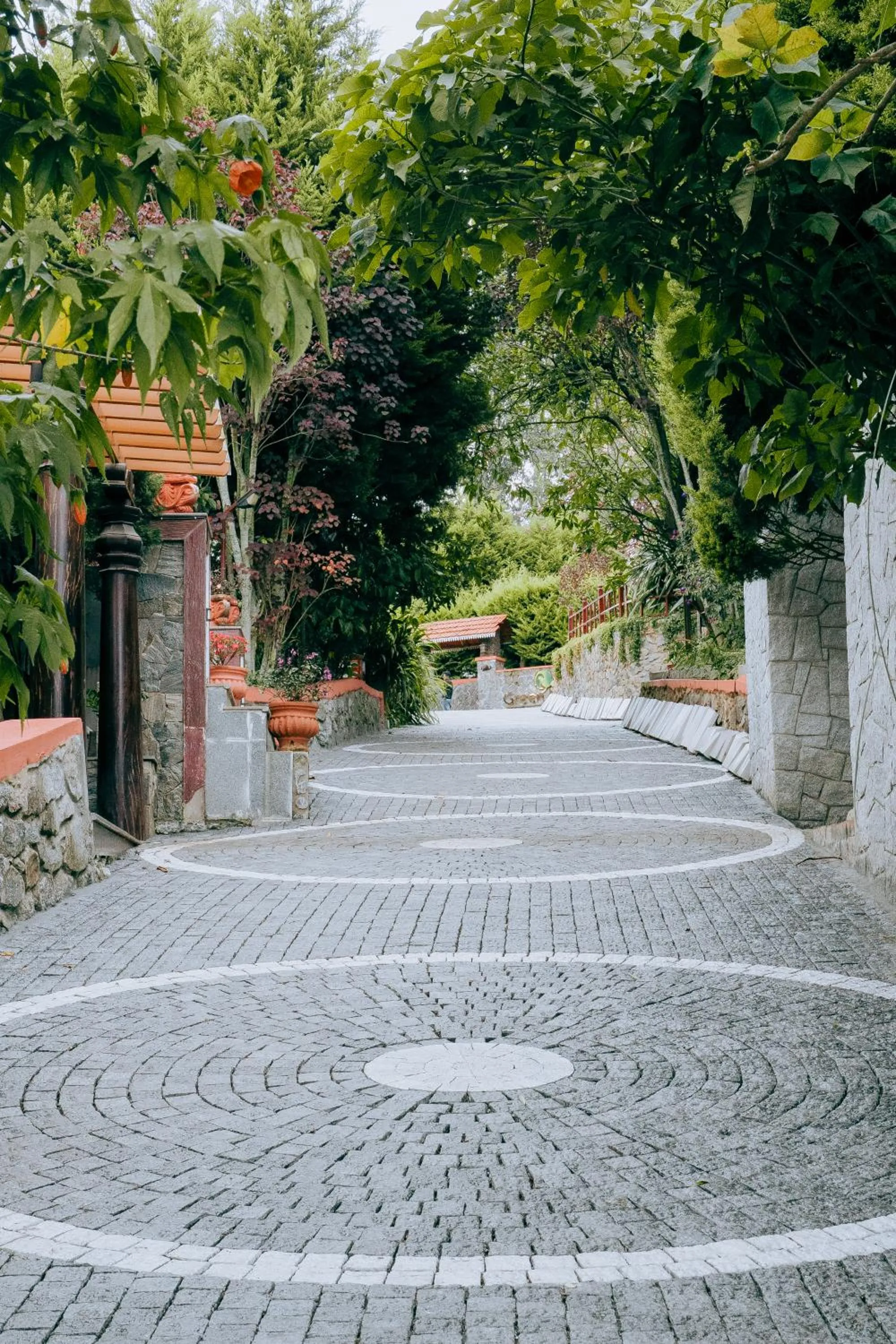 Property building in Green Nest Resort Ooty