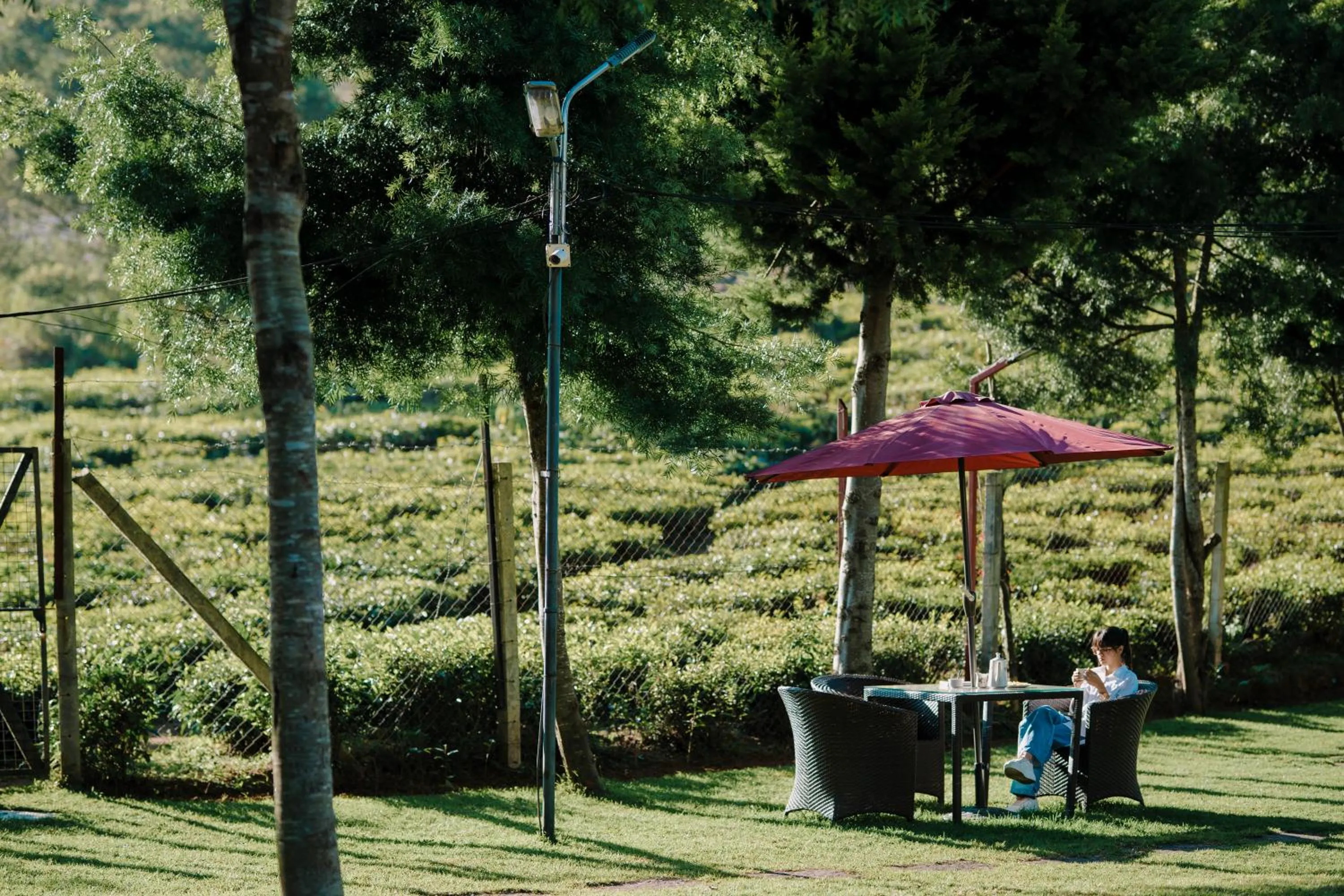 Area and facilities in Green Nest Resort Ooty