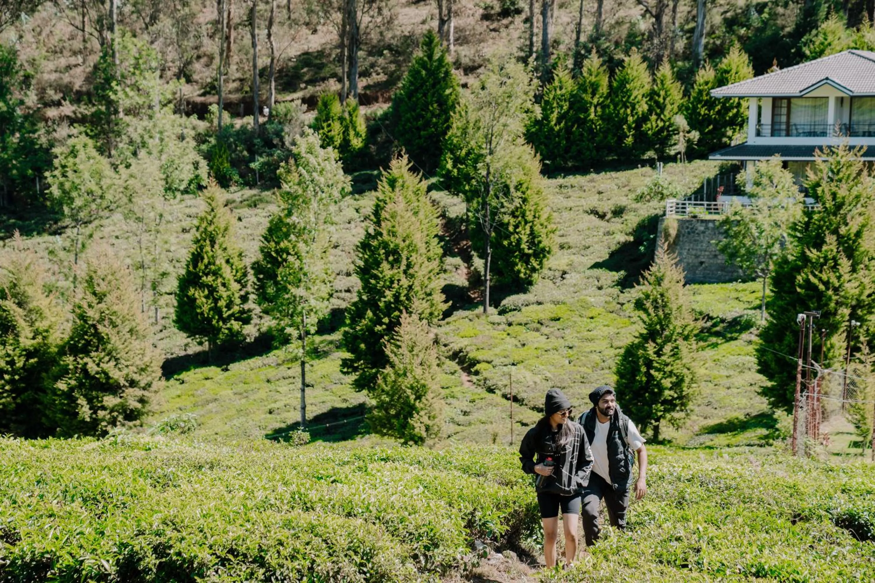 Activities in Green Nest Resort Ooty