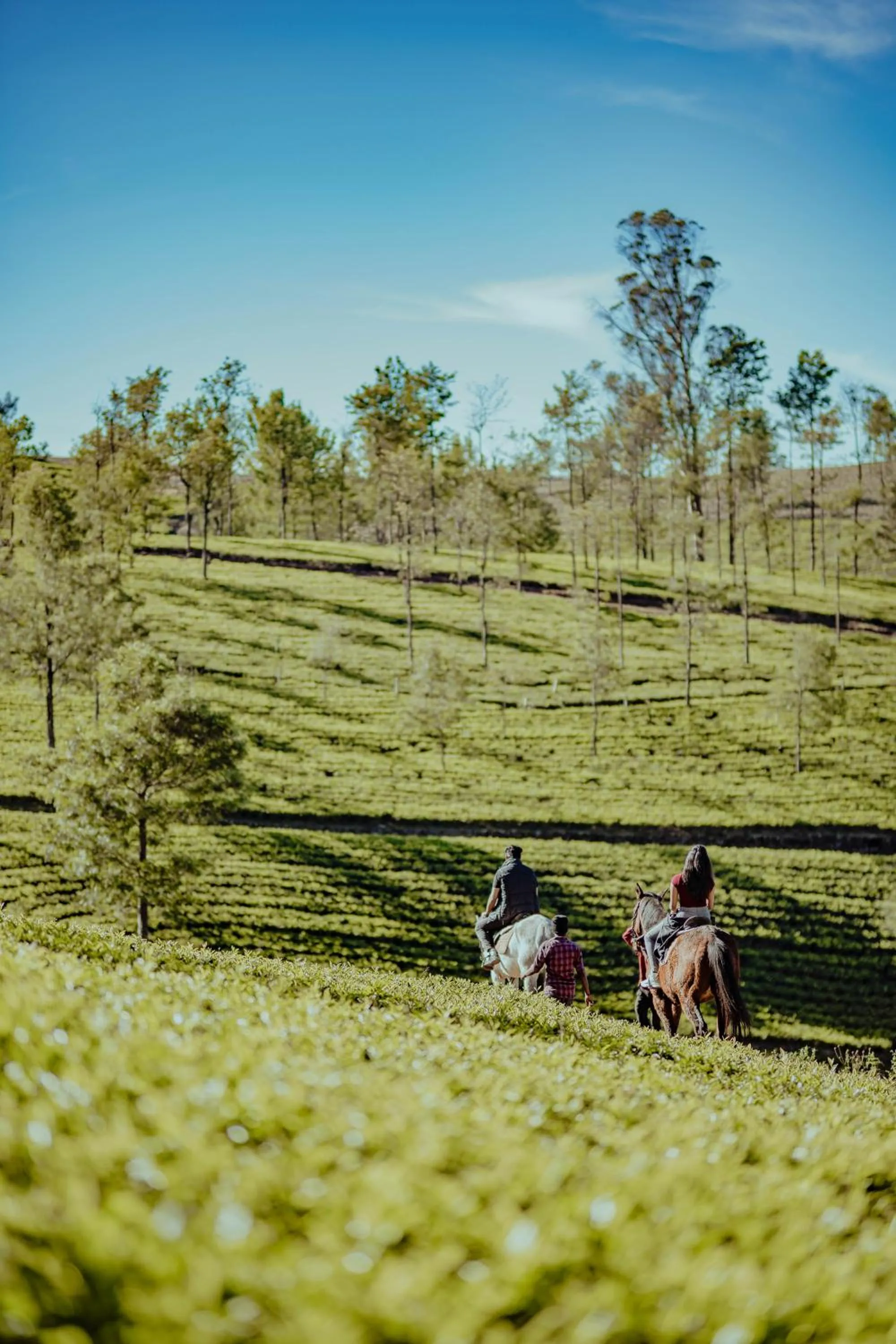 Activities in Green Nest Resort Ooty