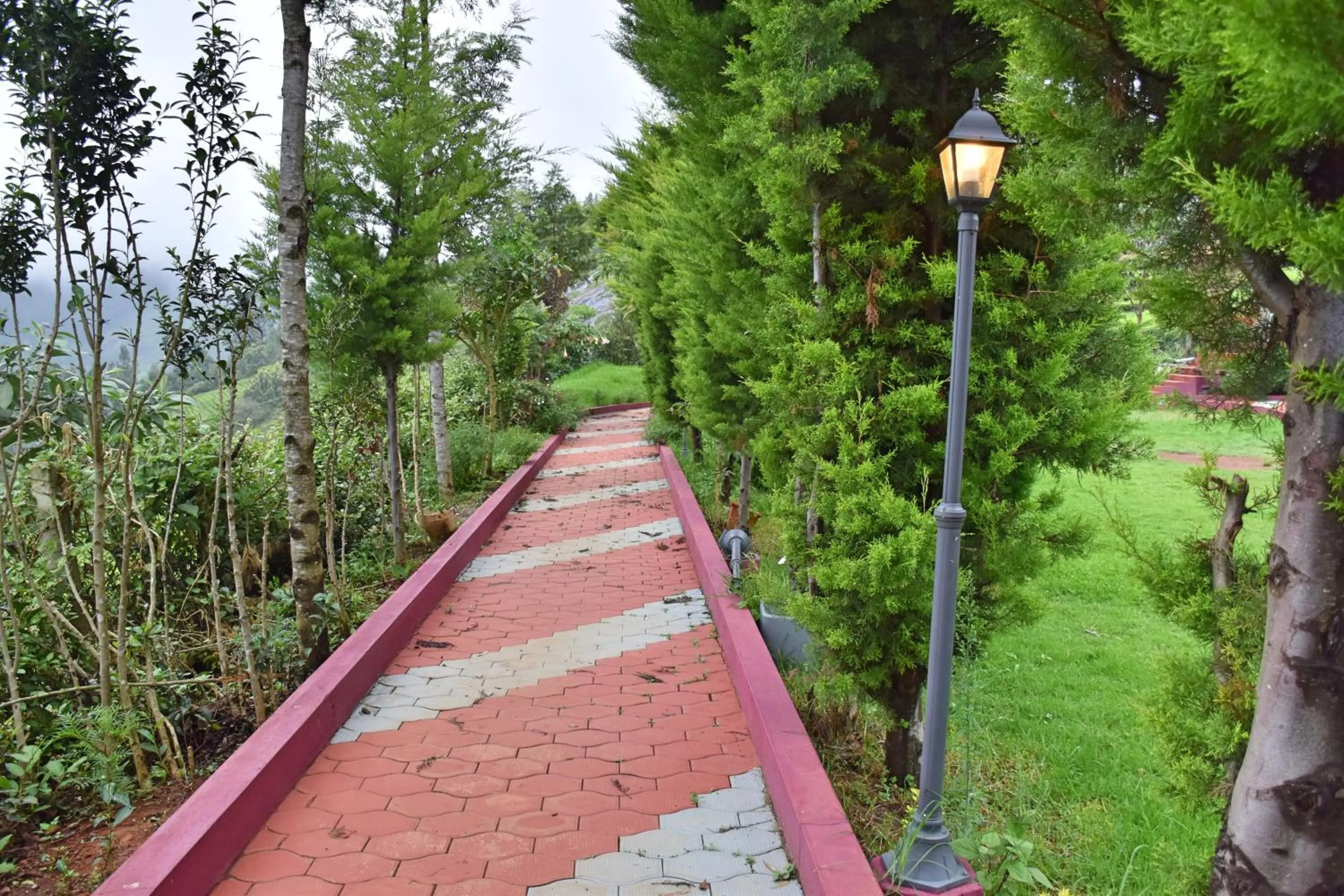 Children play ground in Green Nest Resort Ooty