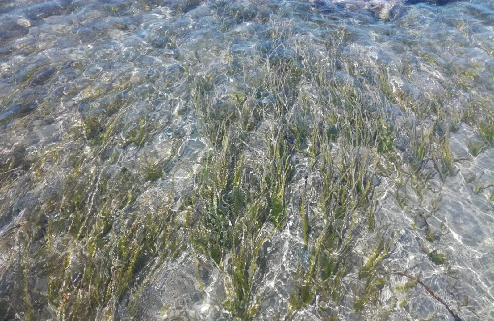 Hotel Donna Carmela Sede Unica a Sciacca