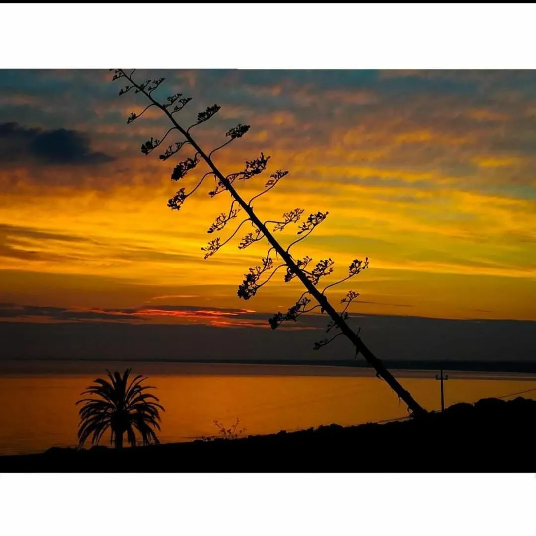 Natural landscape in Hotel Donna Carmela Sede Unica a Sciacca