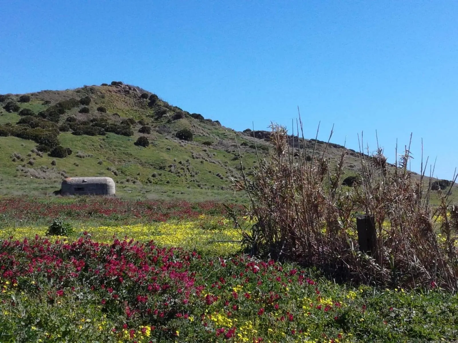 Hotel Donna Carmela Sede Unica a Sciacca