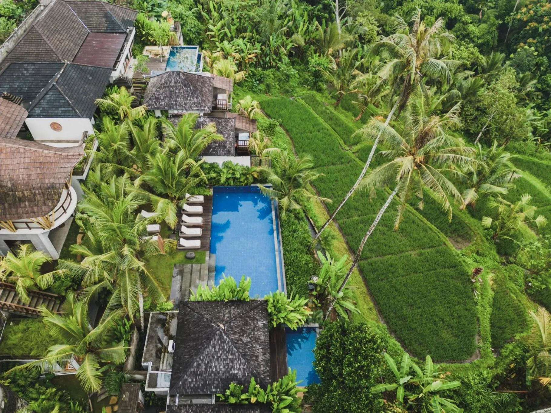 View (from property/room) in Maar Resort & Spa Ubud by Ini Vie Hospitality