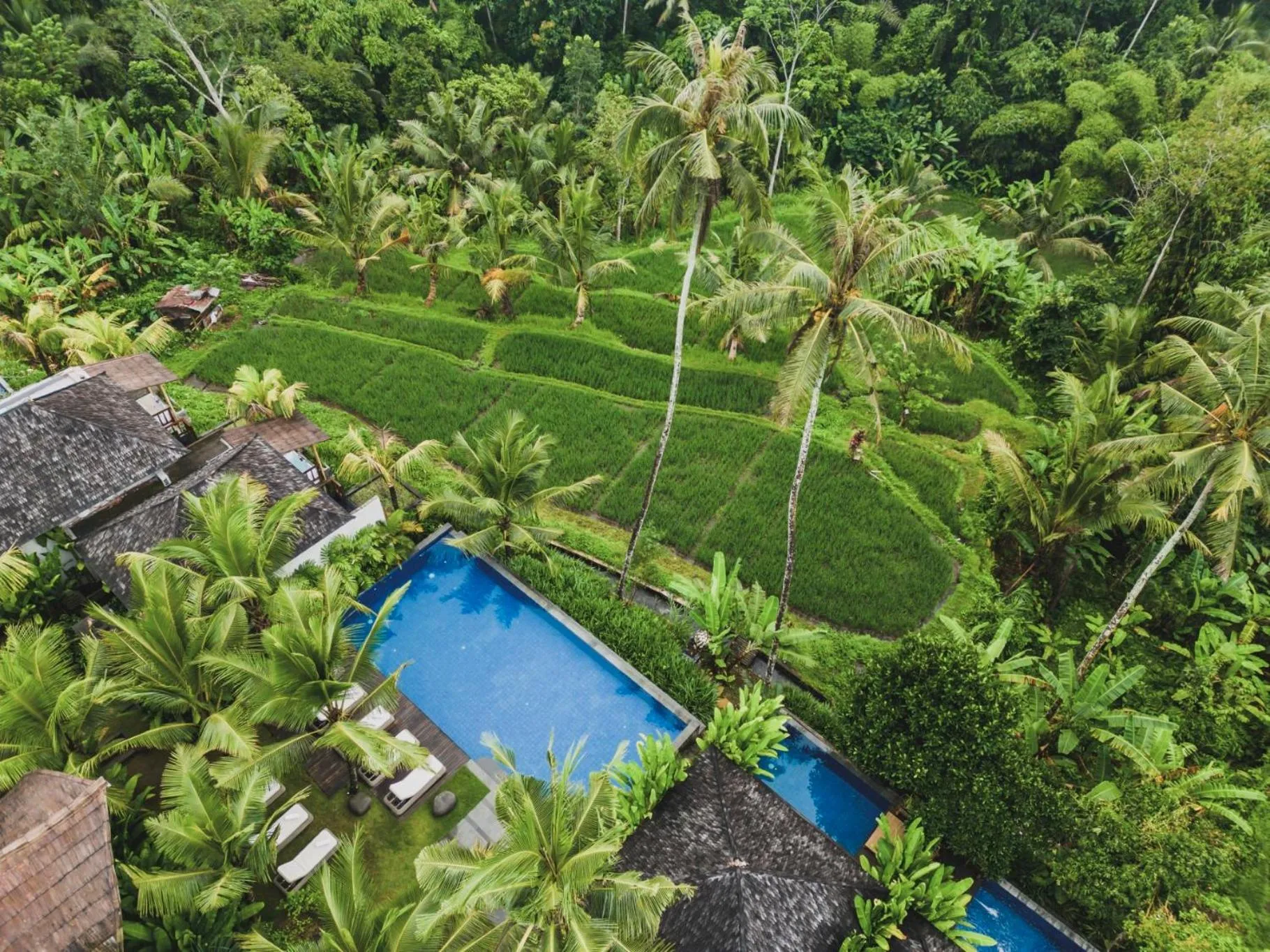 View (from property/room) in Maar Resort & Spa Ubud by Ini Vie Hospitality