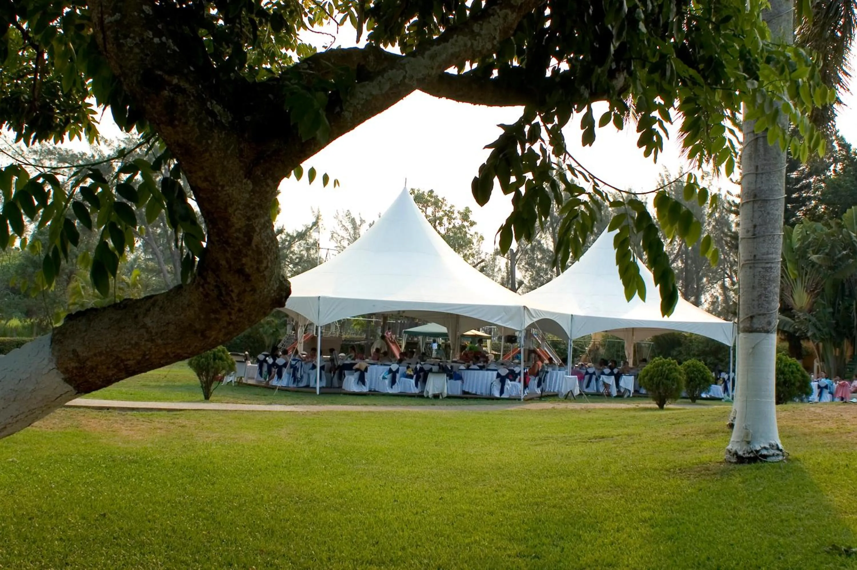 Banquet/Function facilities in Hotel Terranova