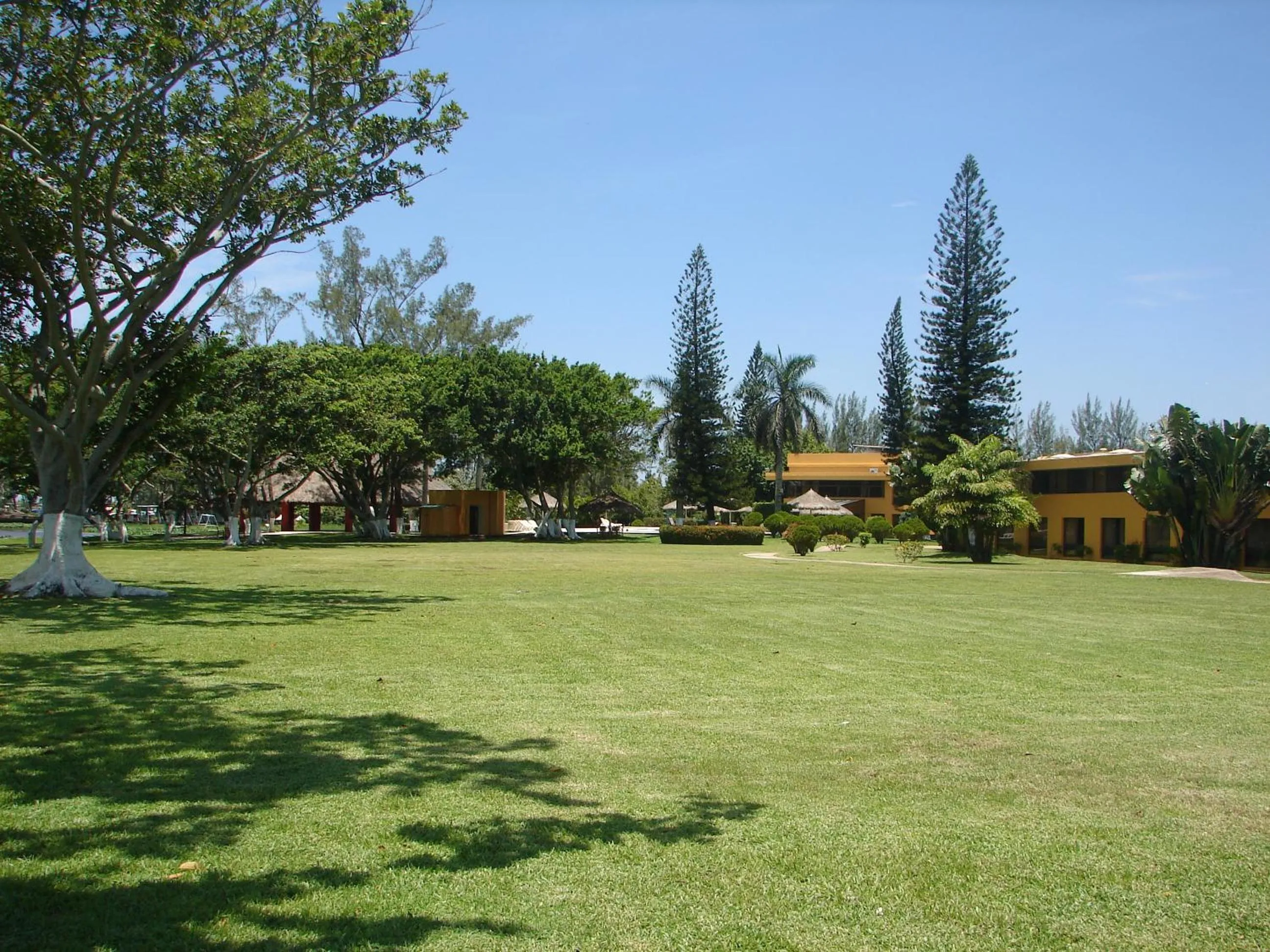 Garden view in Hotel Terranova