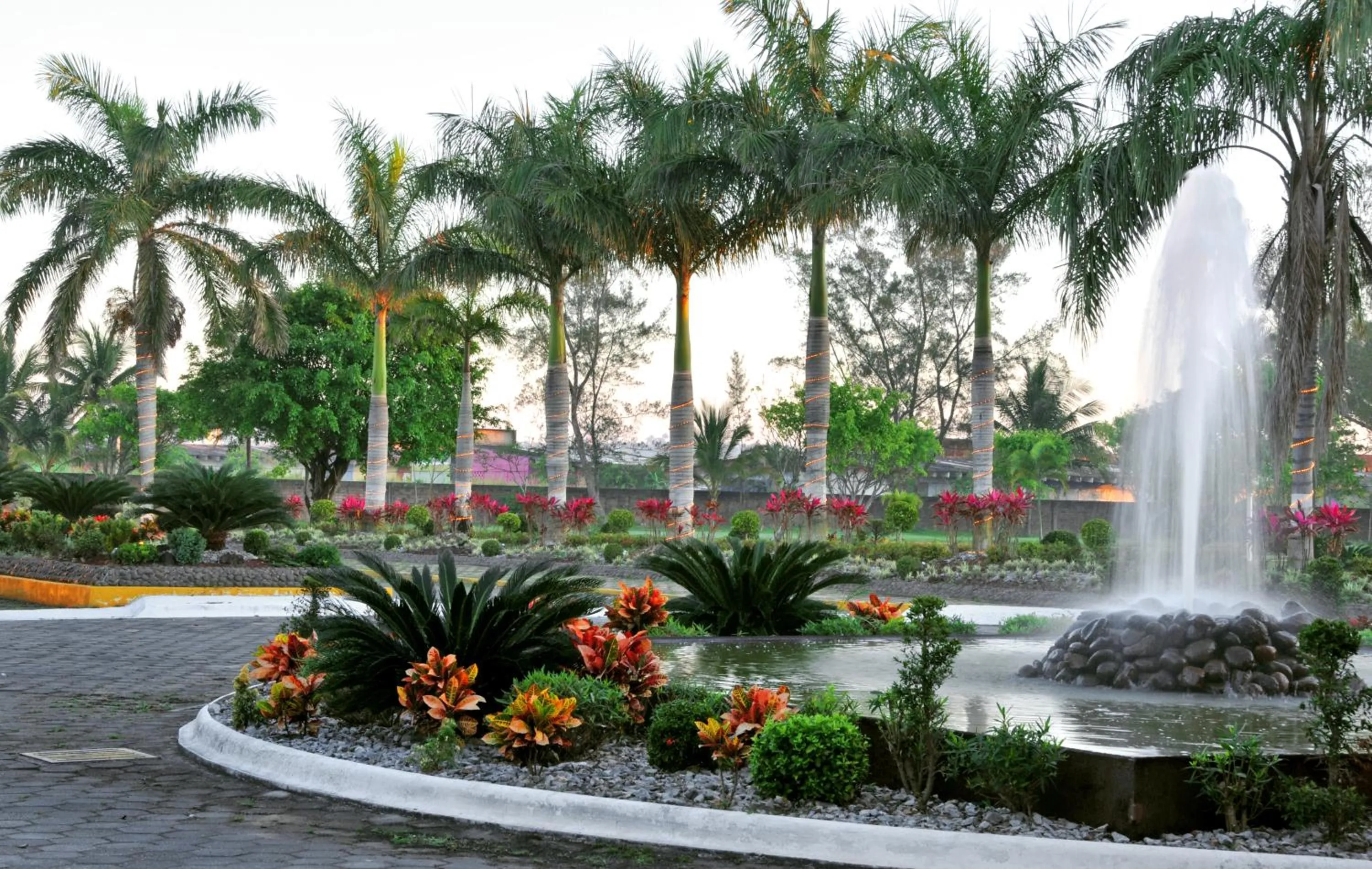 Facade/entrance in Hotel Terranova