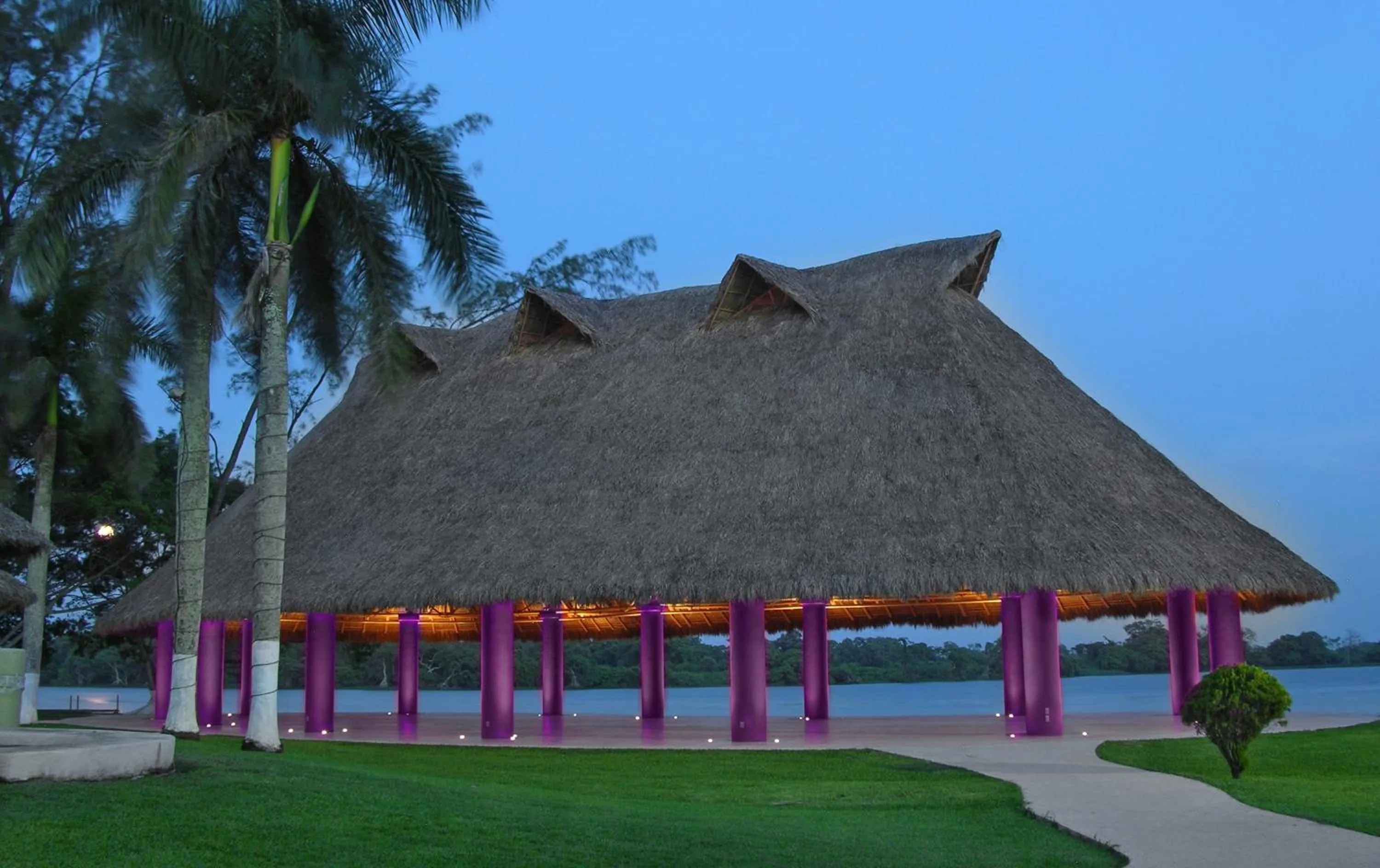 Garden in Hotel Terranova