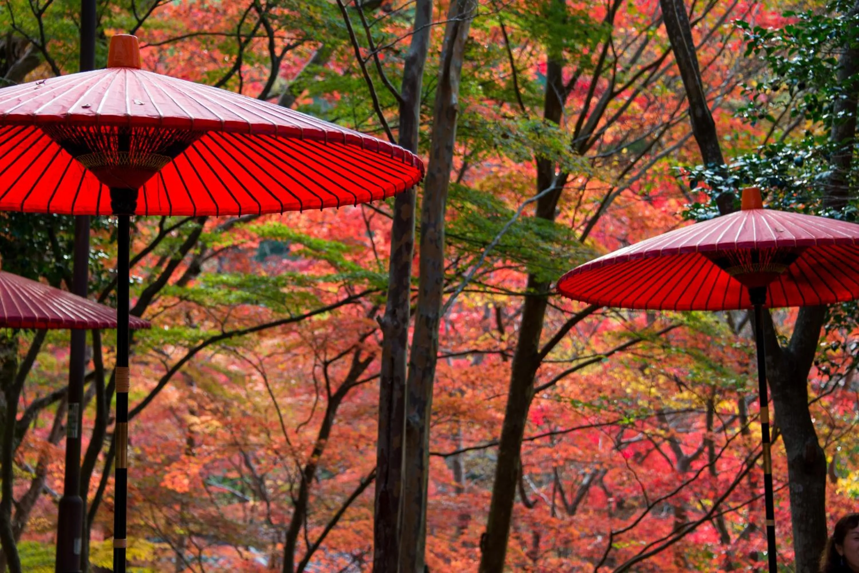 Nearby landmark in Arima Onsen Motoyu Ryuusenkaku