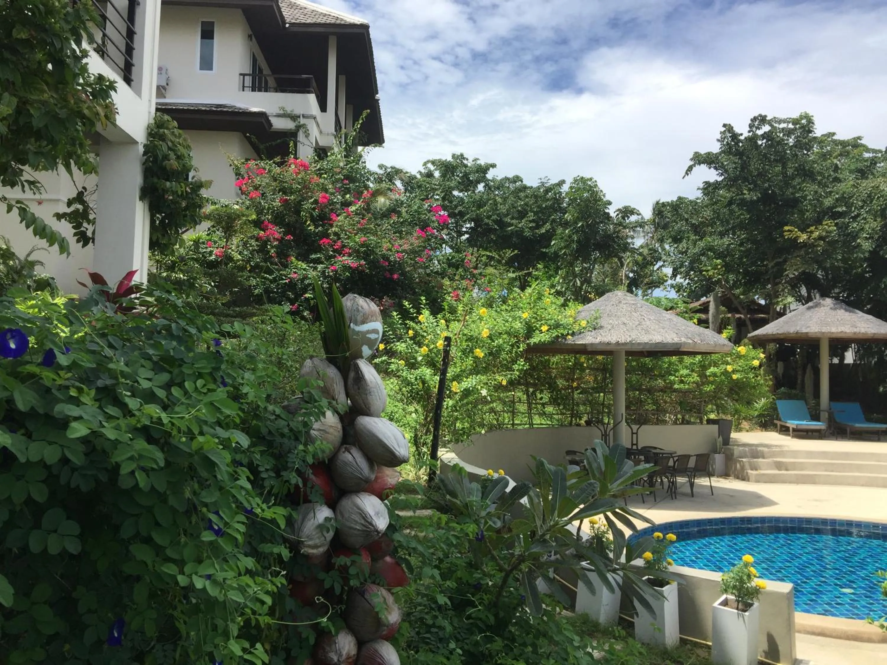 Garden in TROPICA - Villas Resort