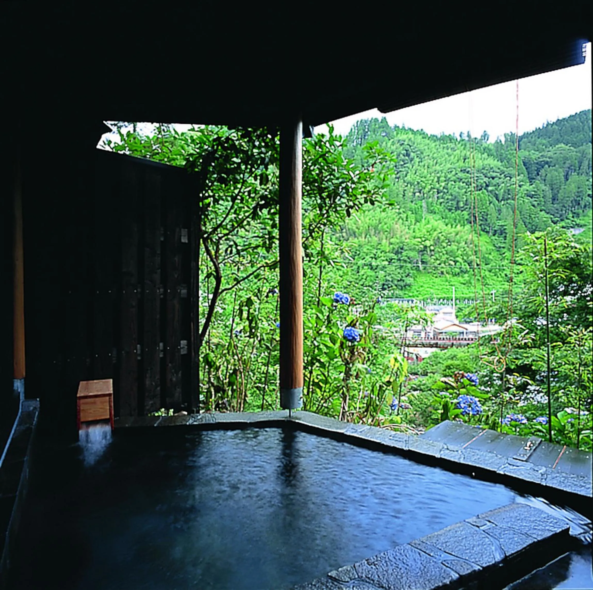 Hot Spring Bath in Shinshiyo