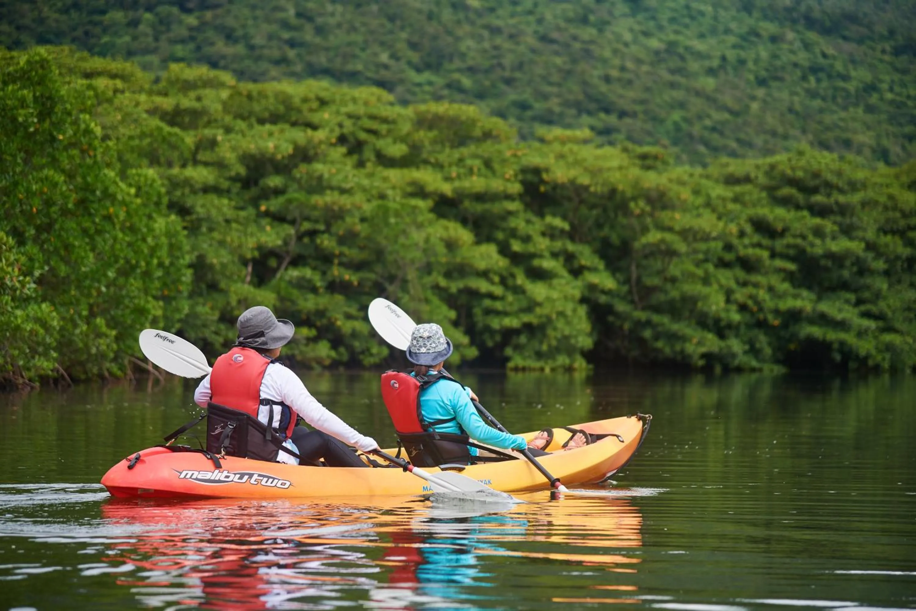 Canoeing in Iriomotejima-Jungle Hotel Painumaya