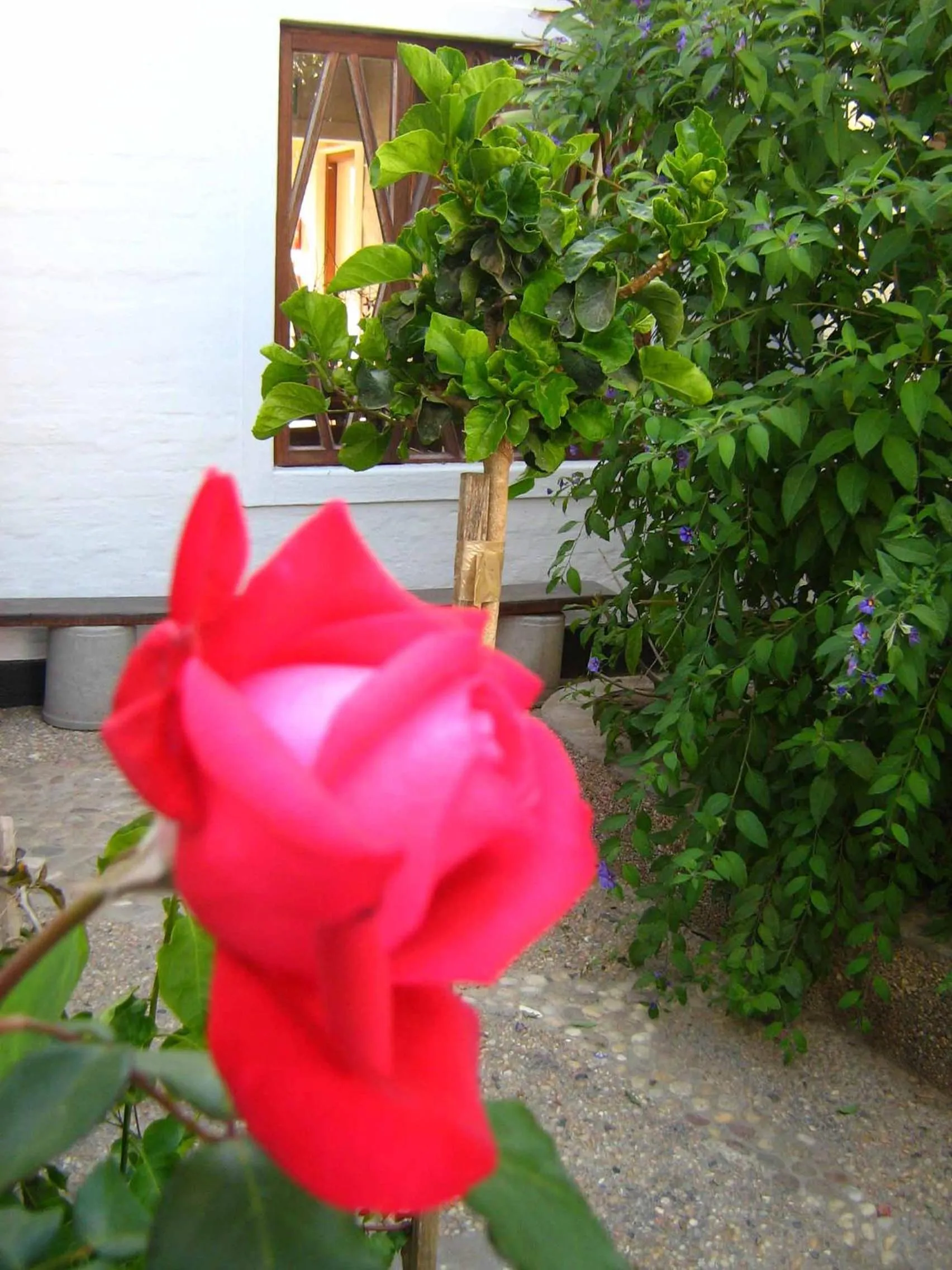 Alternative Space B & B