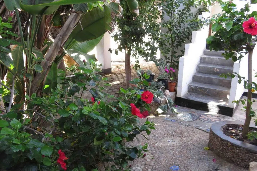 Alternative Space B & B