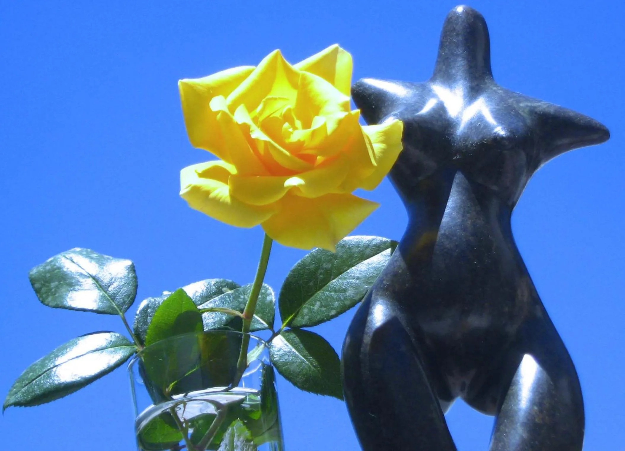 Alternative Space B & B